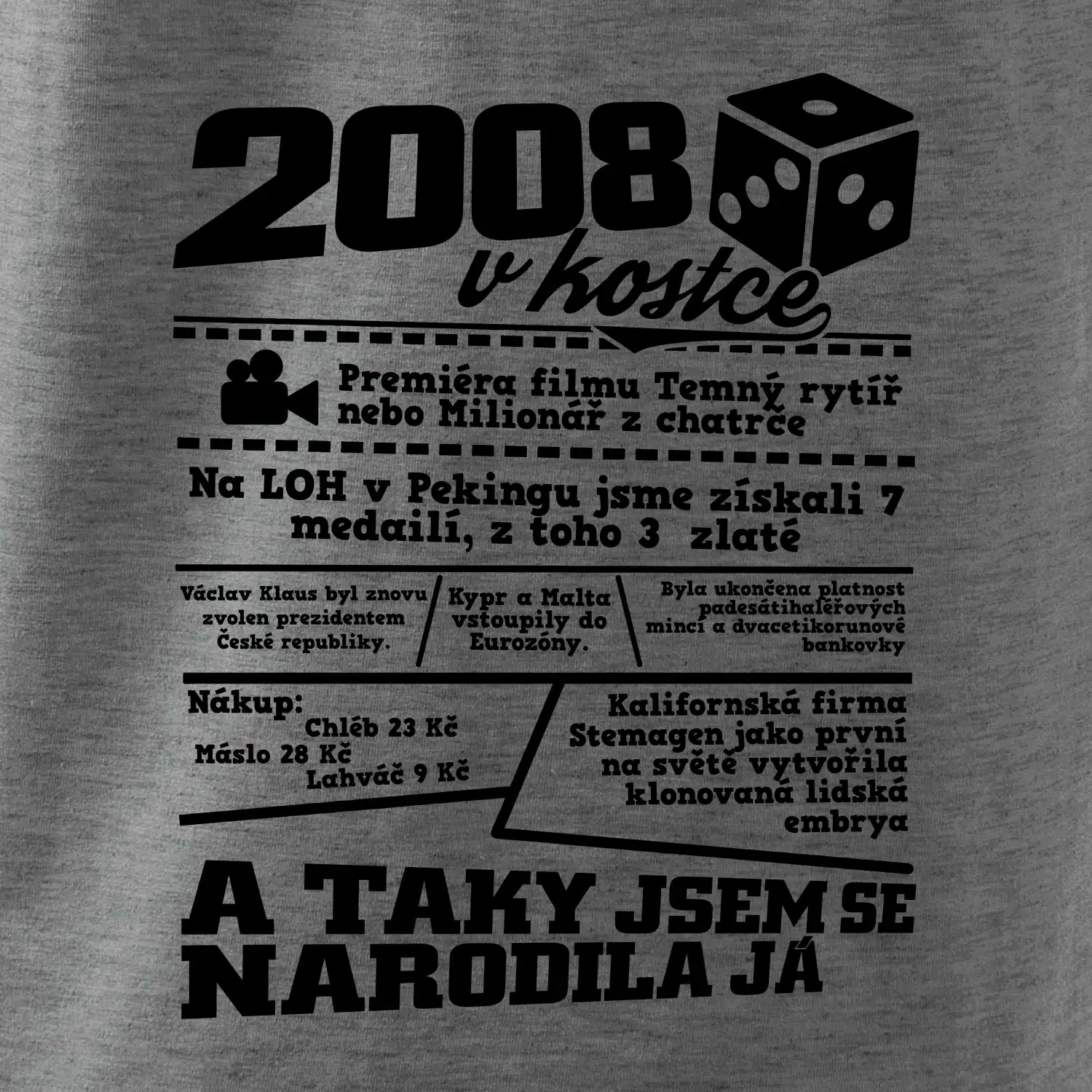 2008 v kostce