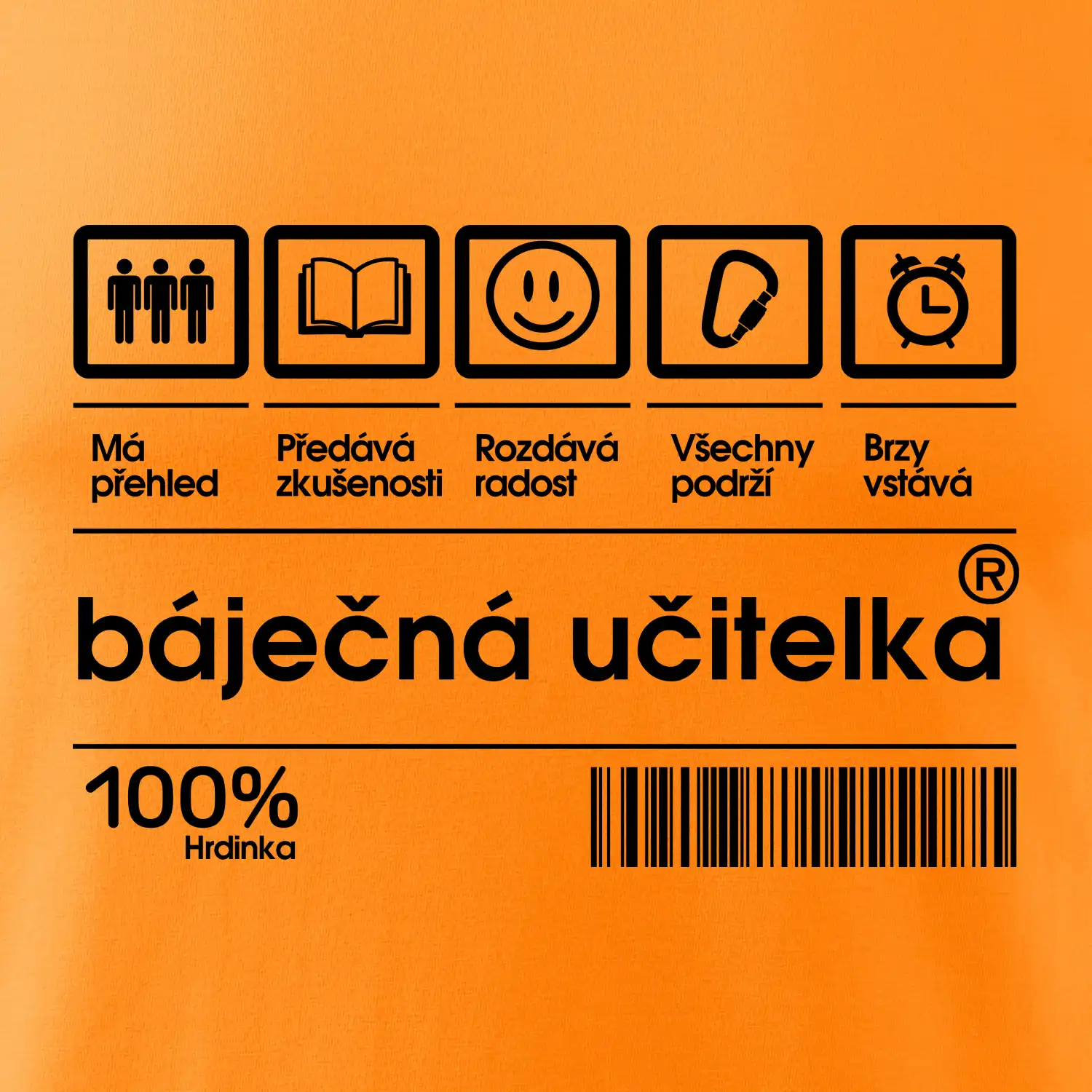 Čárový kód  - Báječná učitelka