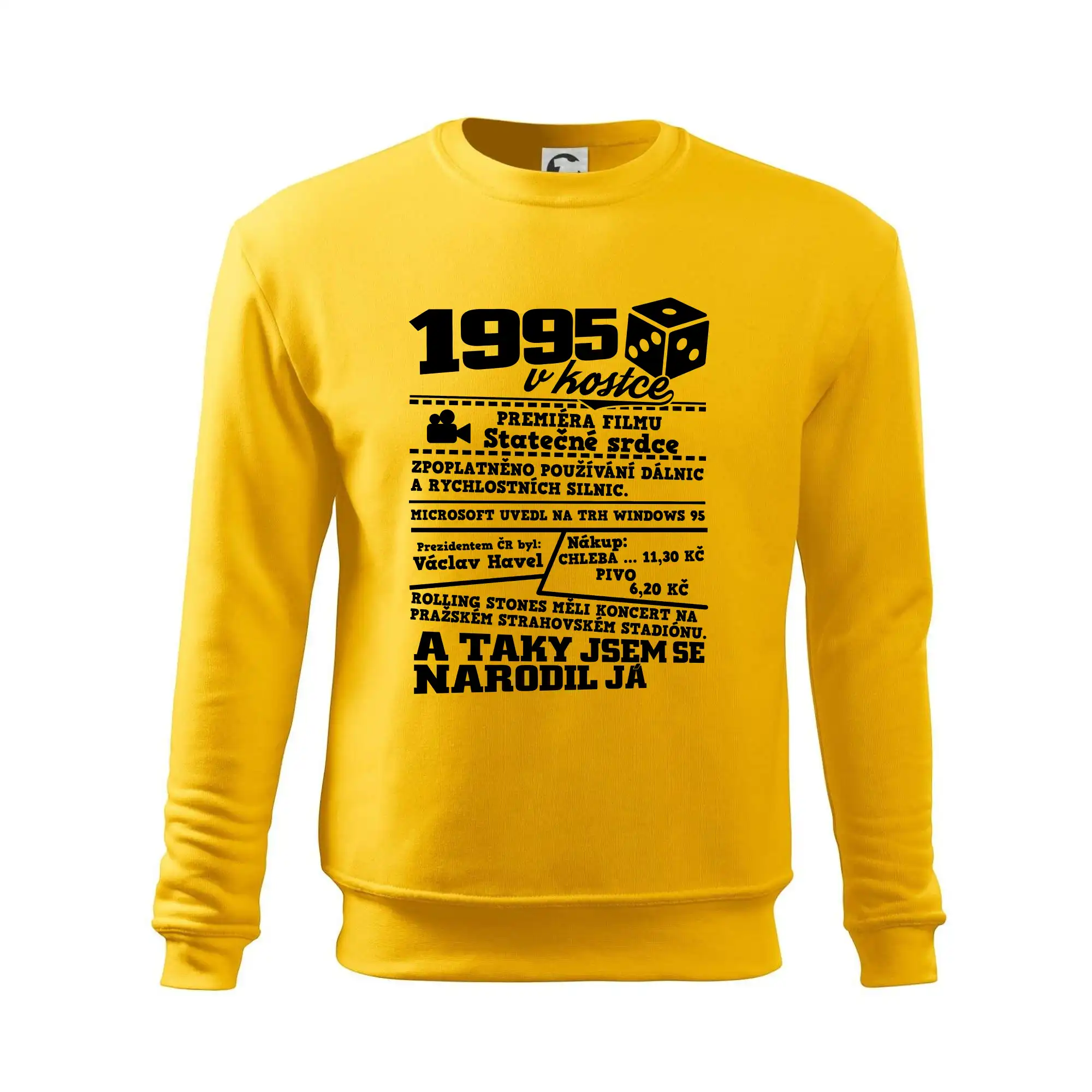 1995 v kostce