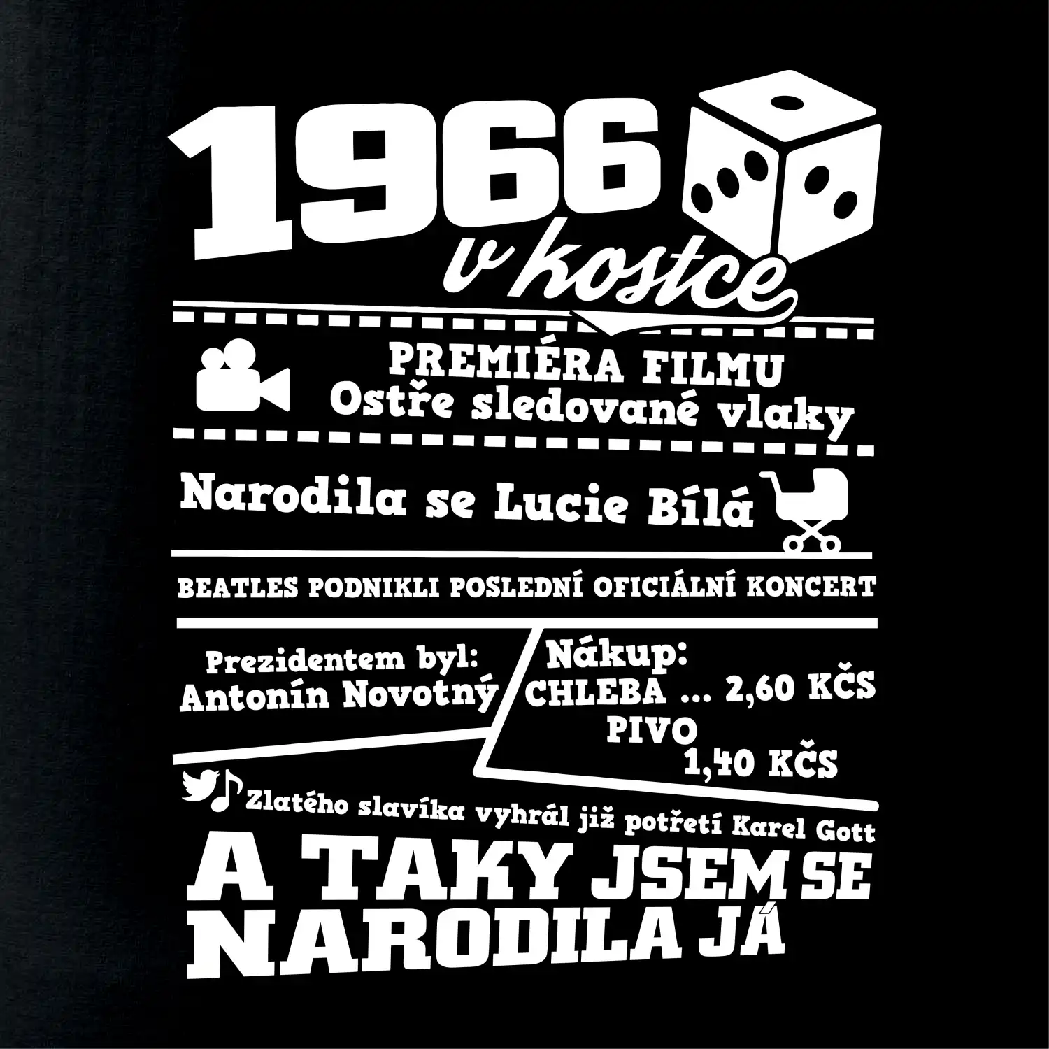 1966 v kostce