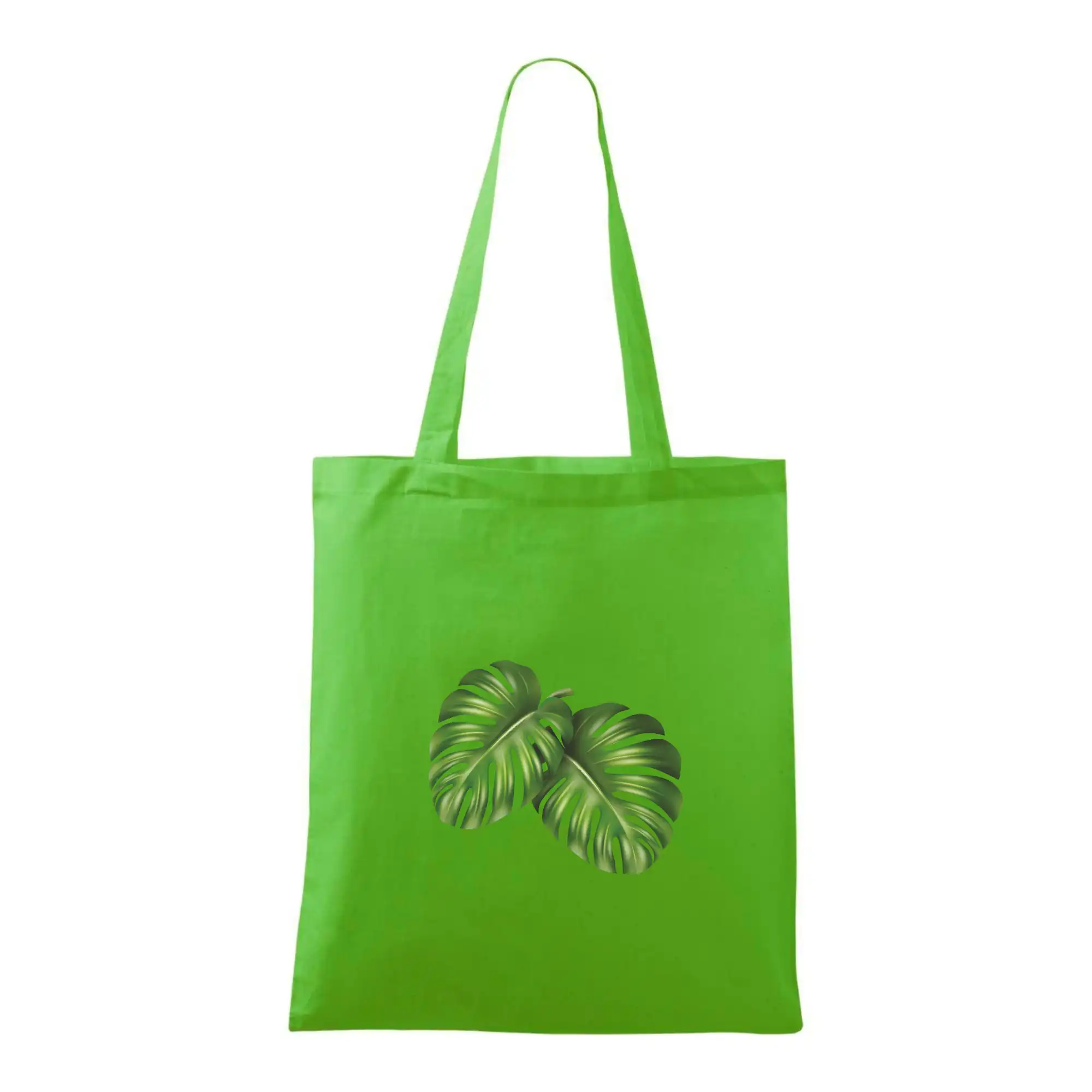 Monstera - dva listy