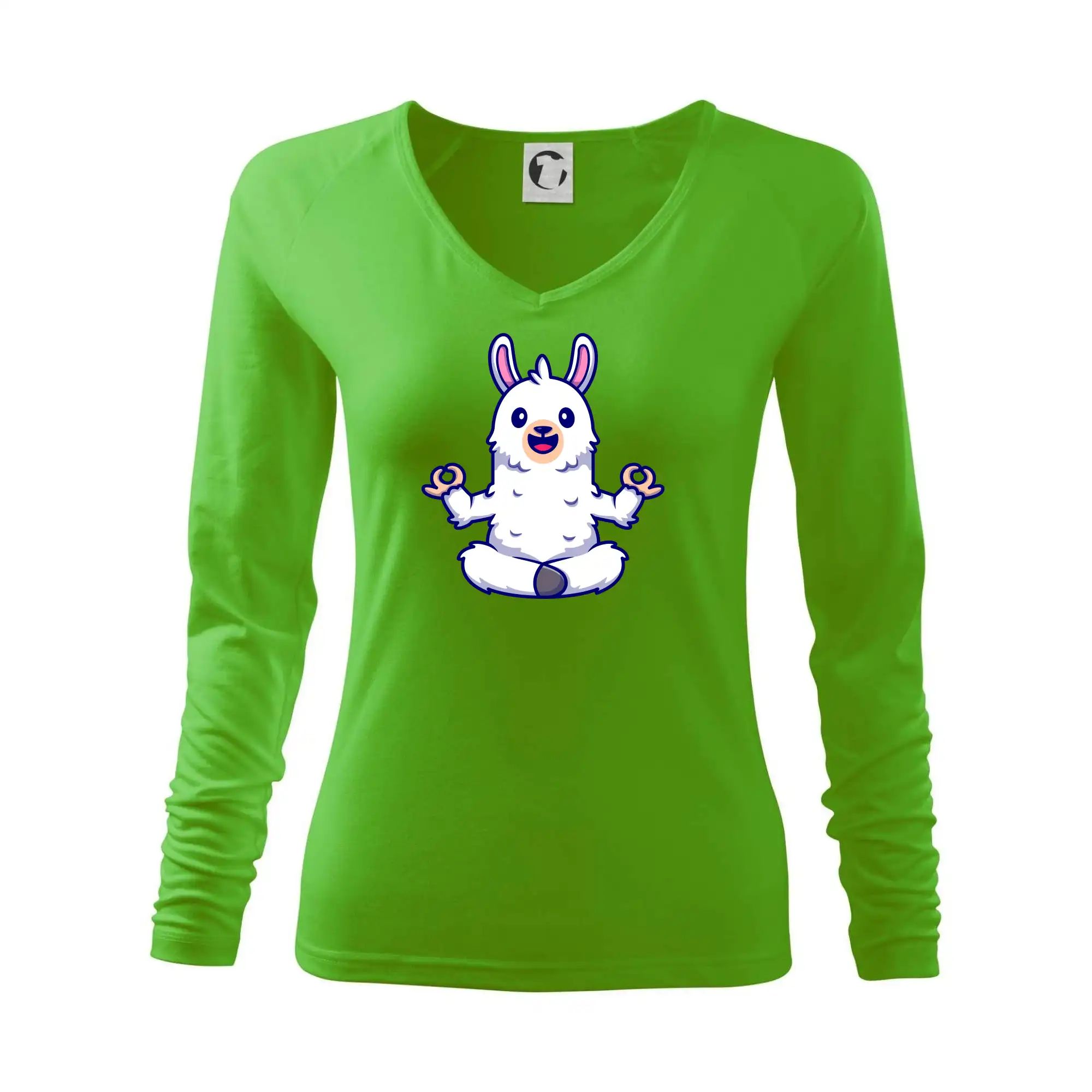 Yoga meditace - lama