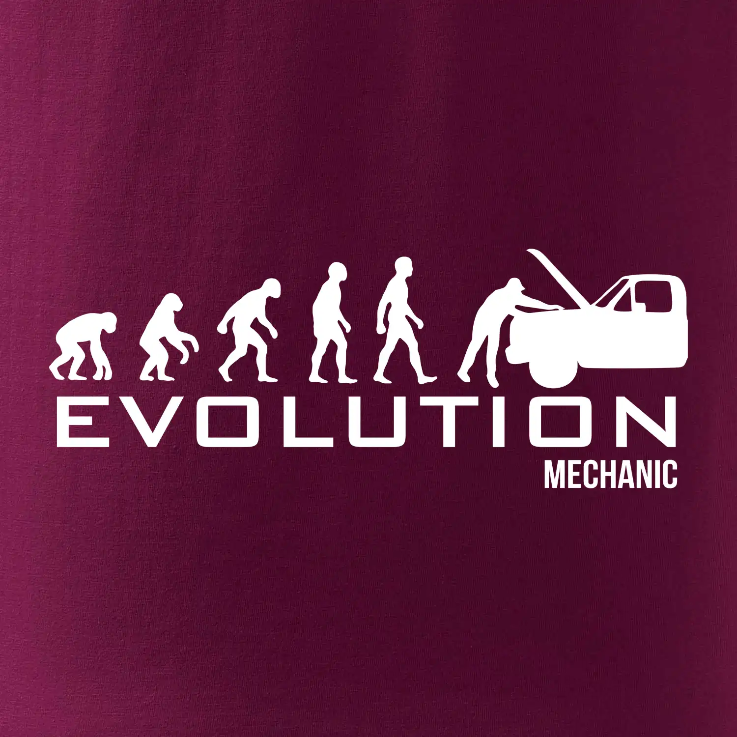Evoluce mechanik