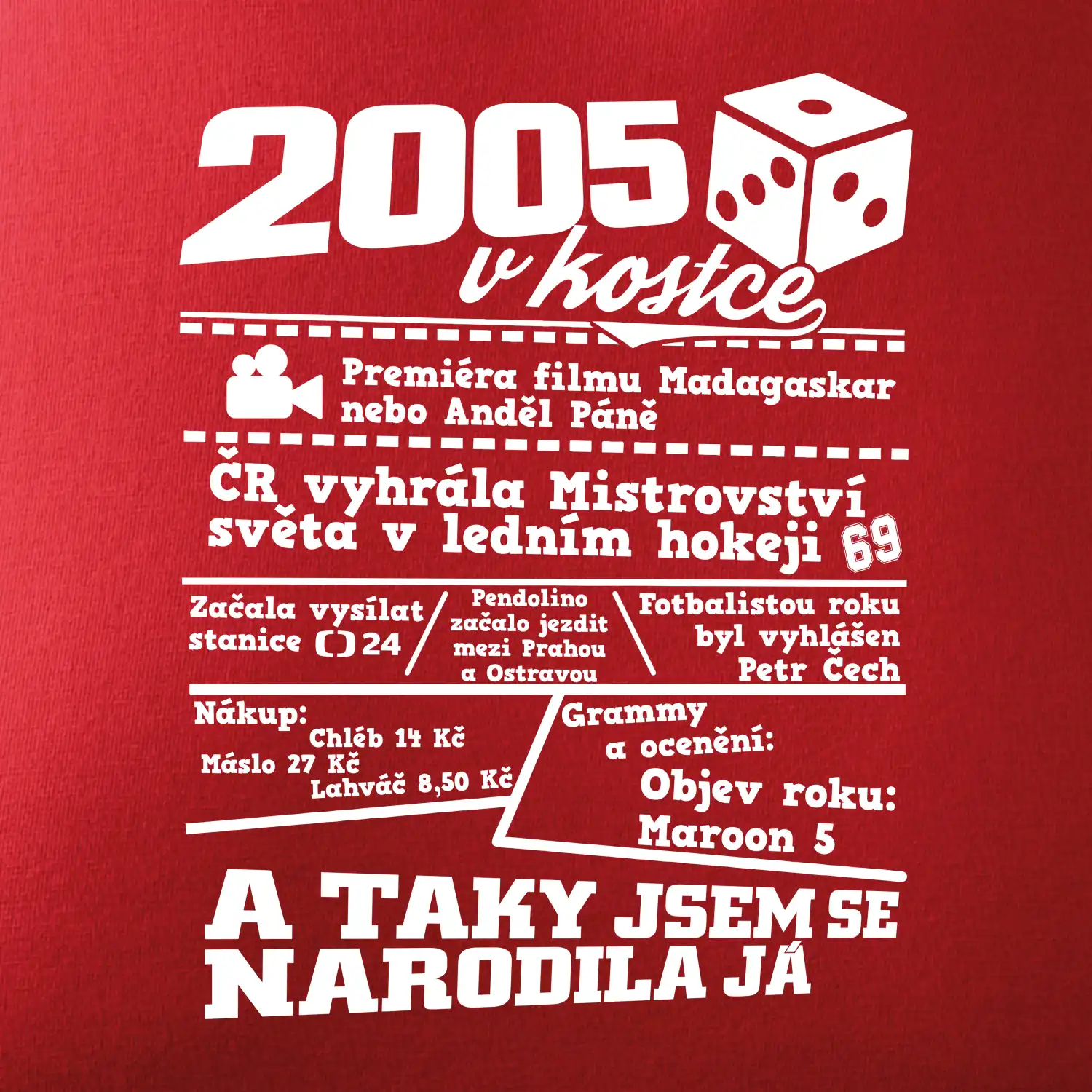 2005 v kostce