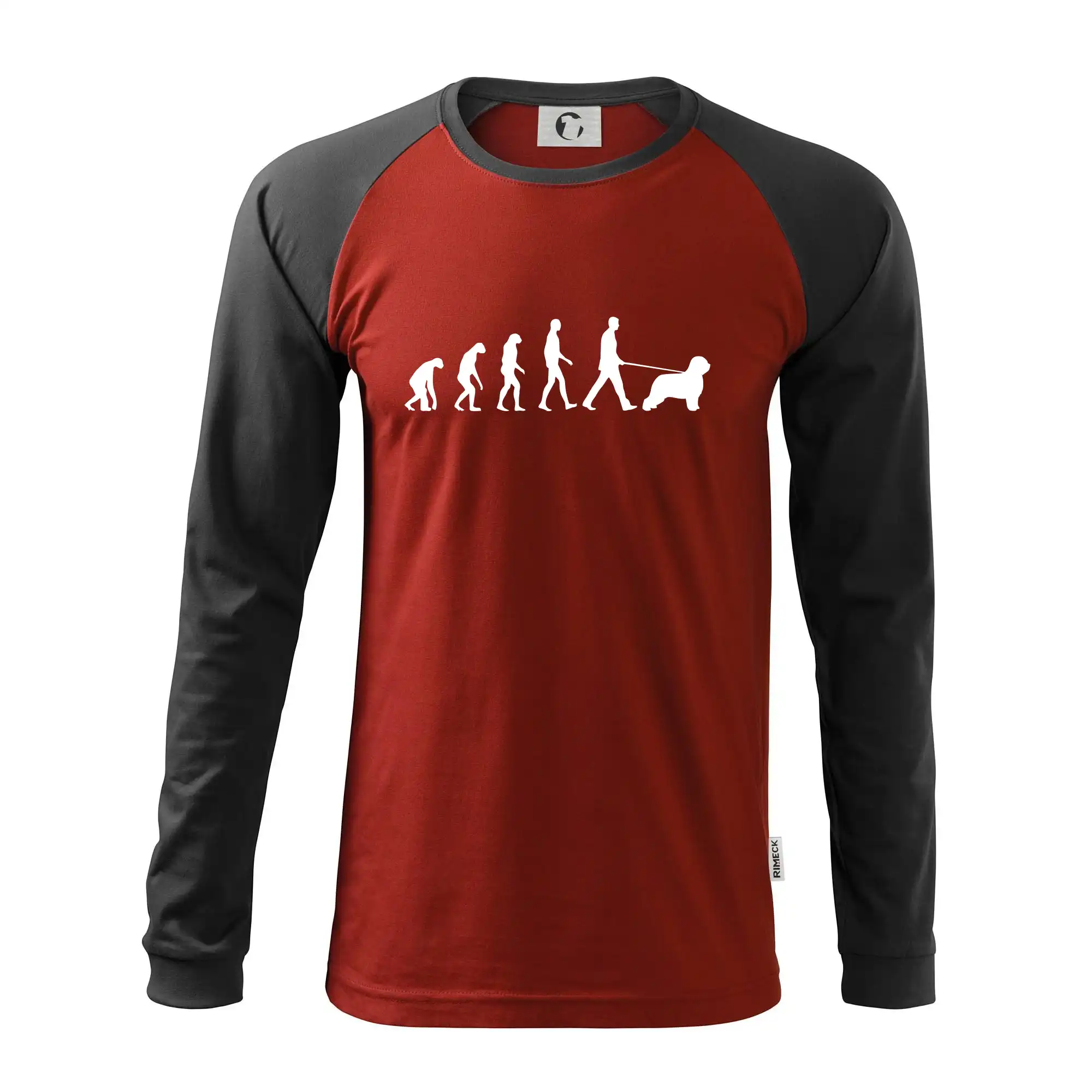Evoluce pes Briard