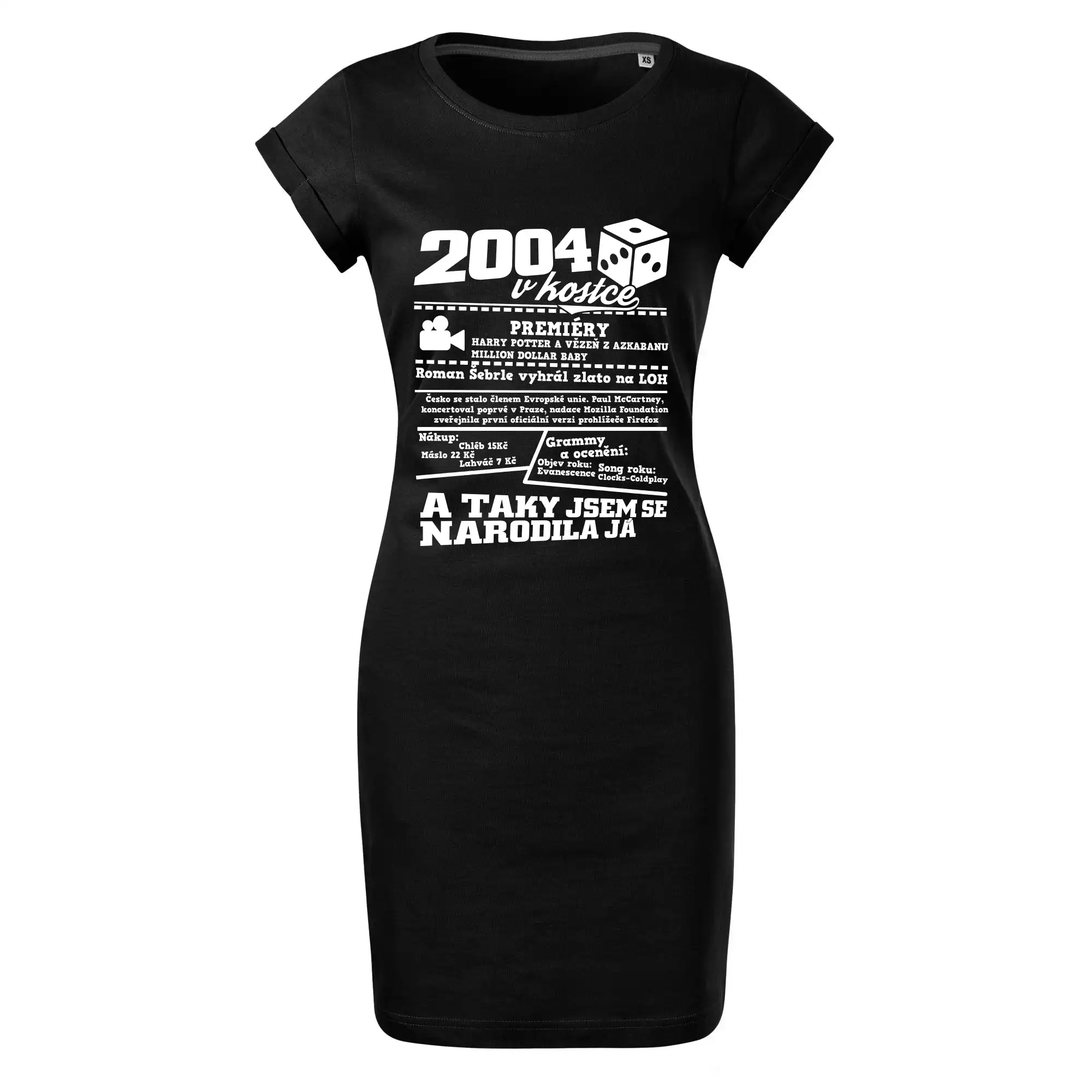 2004 v kostce