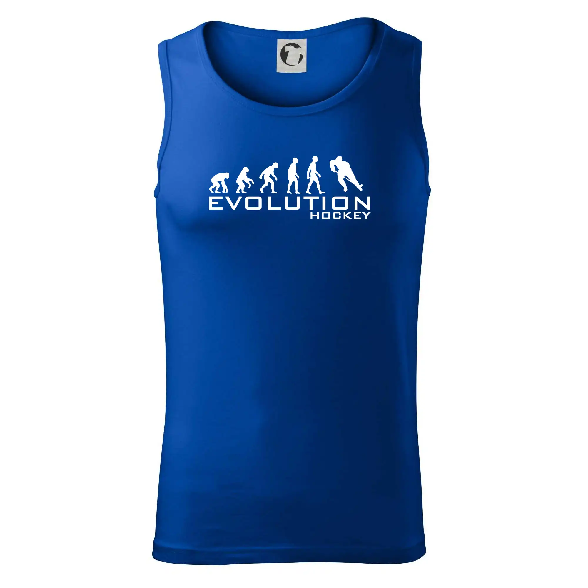 Evoluce Hockey - hráč