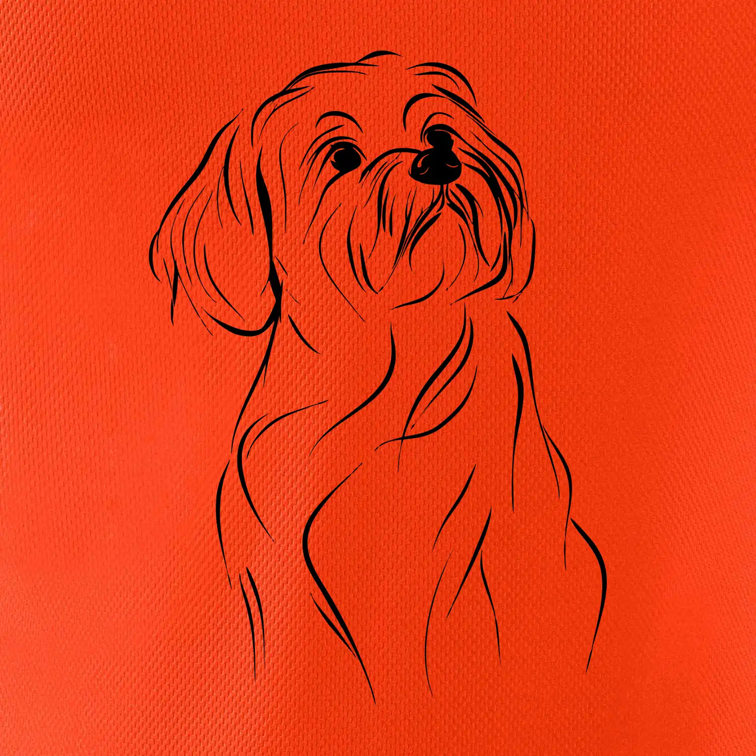 Lhasa Apso černý nákres slabé linky