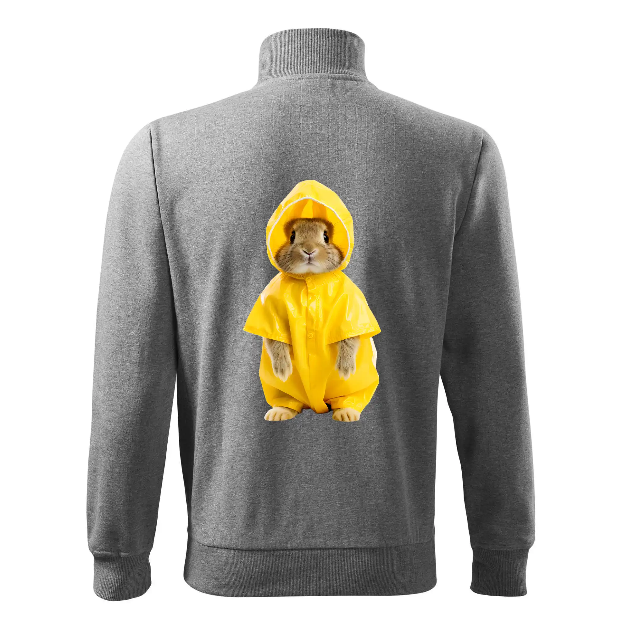 Králík v pláštěnce