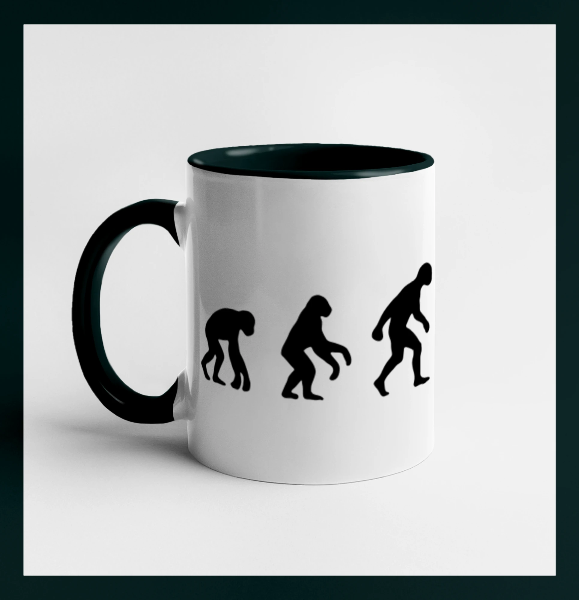 Evoluce šipky