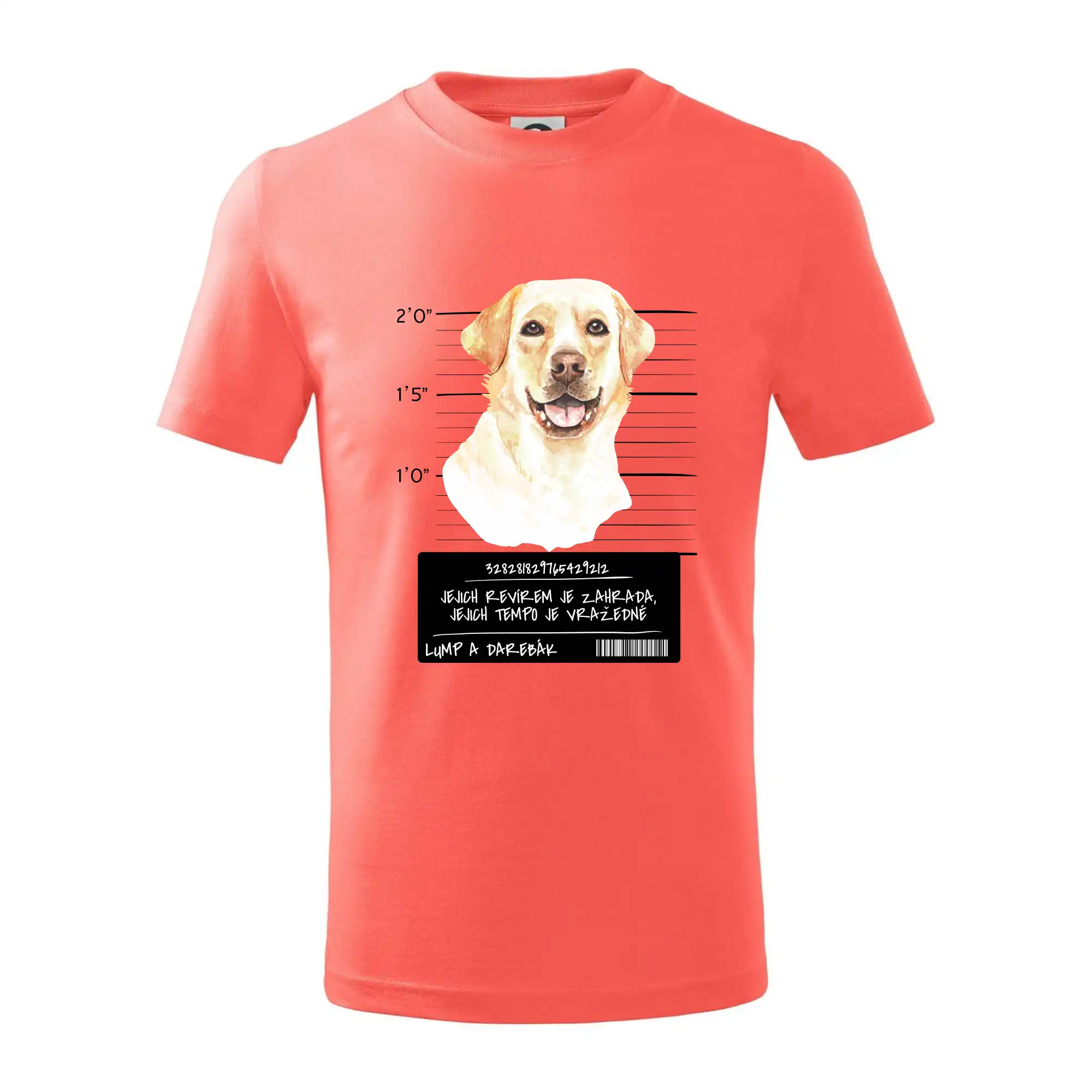 Lump a darebák labrador