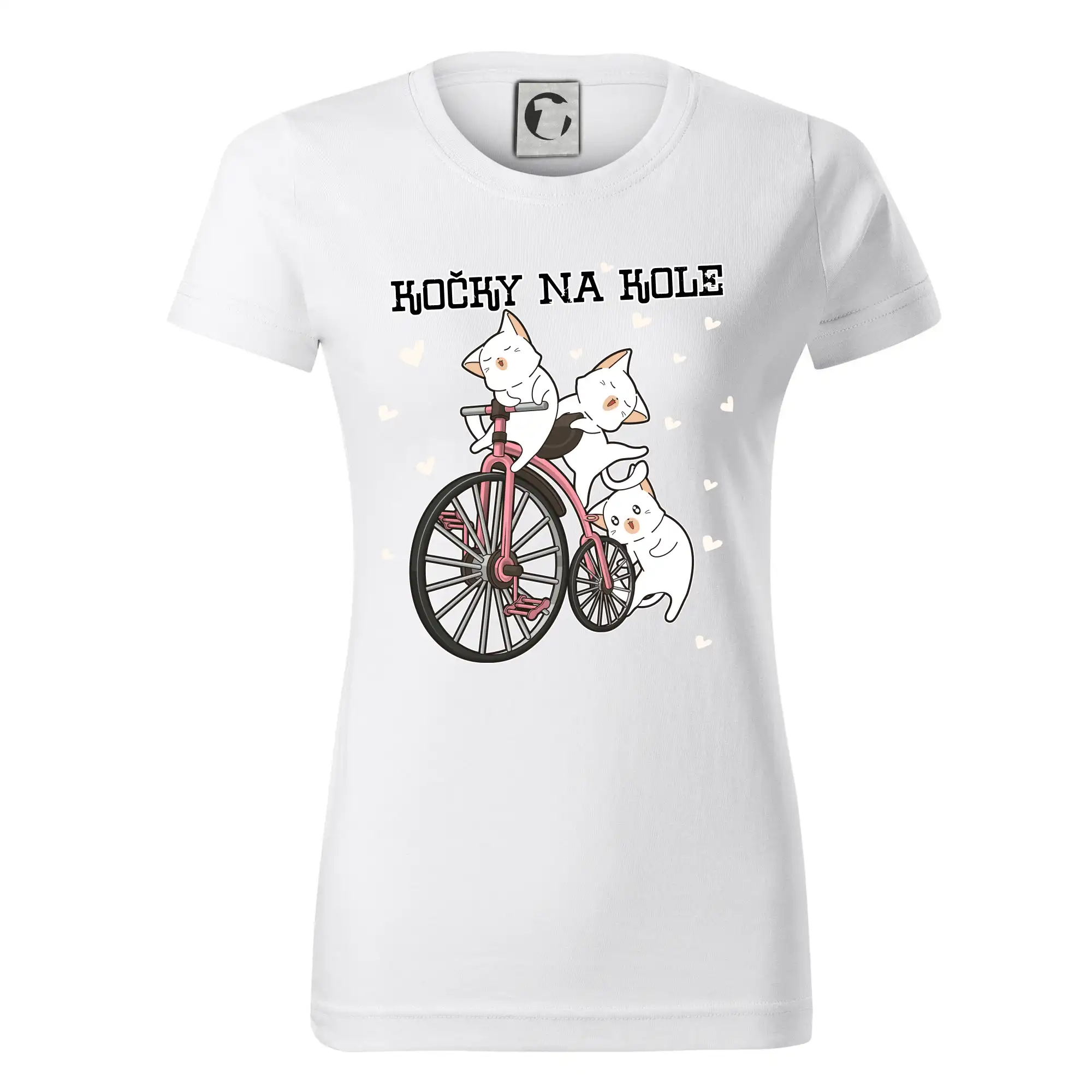 Kočky na kole