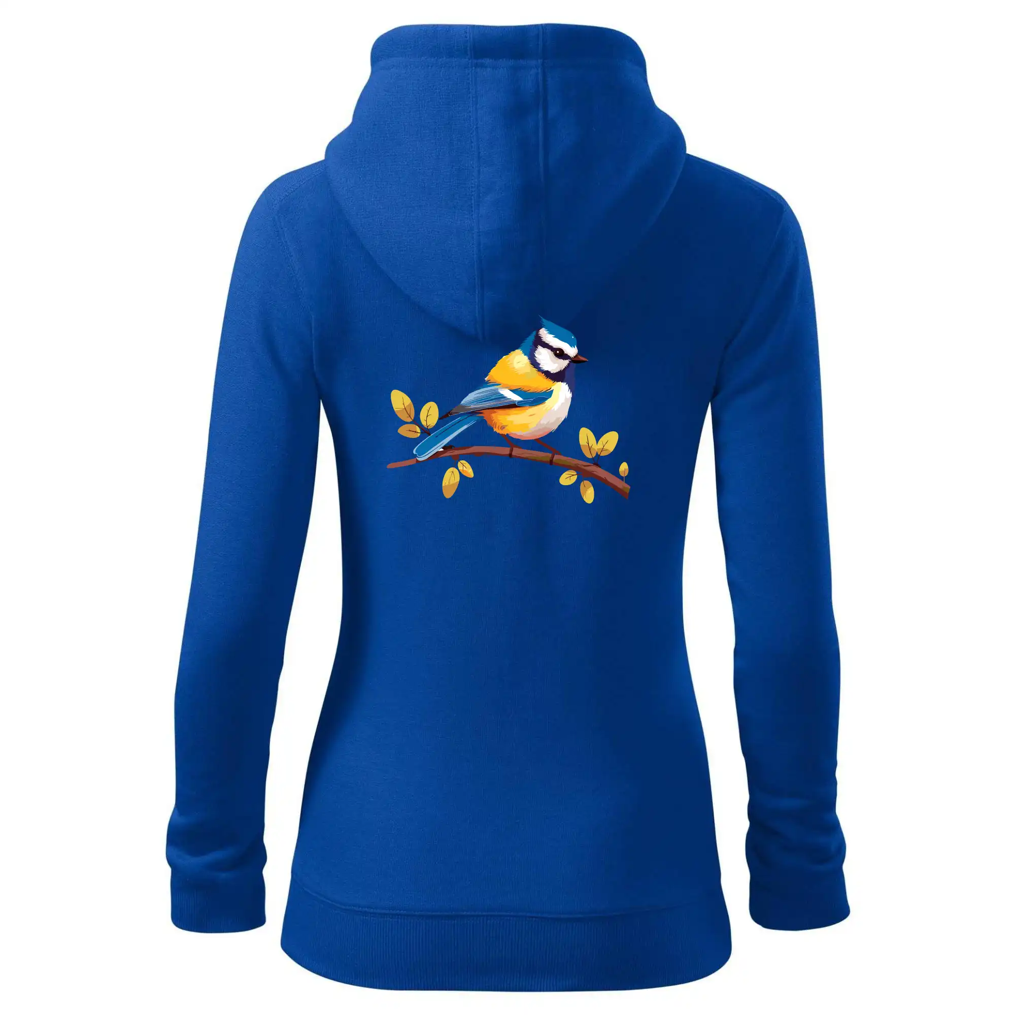 Sýkorka modřinka kreslená