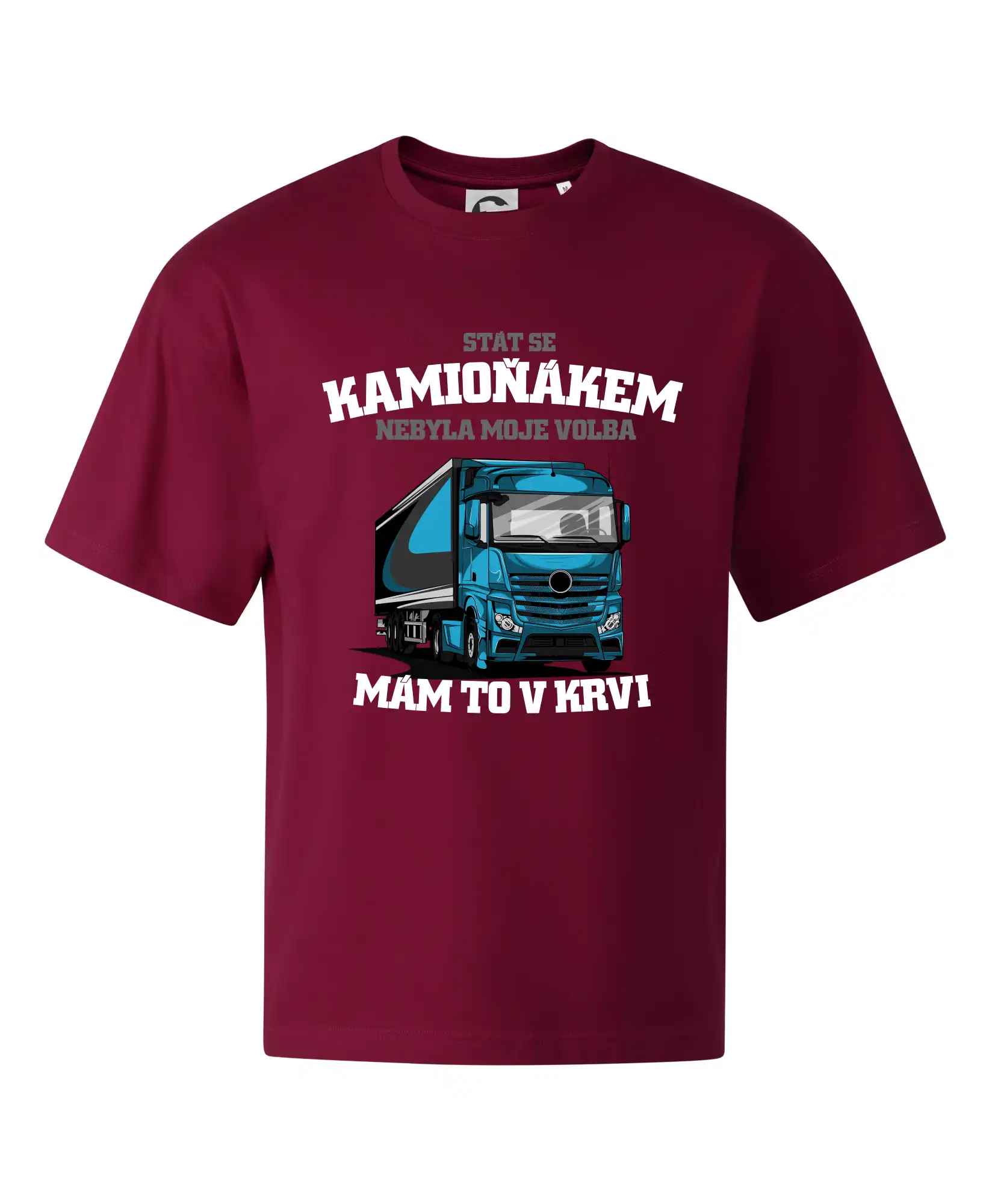 Stát se kamioňákem nebyla moje volba