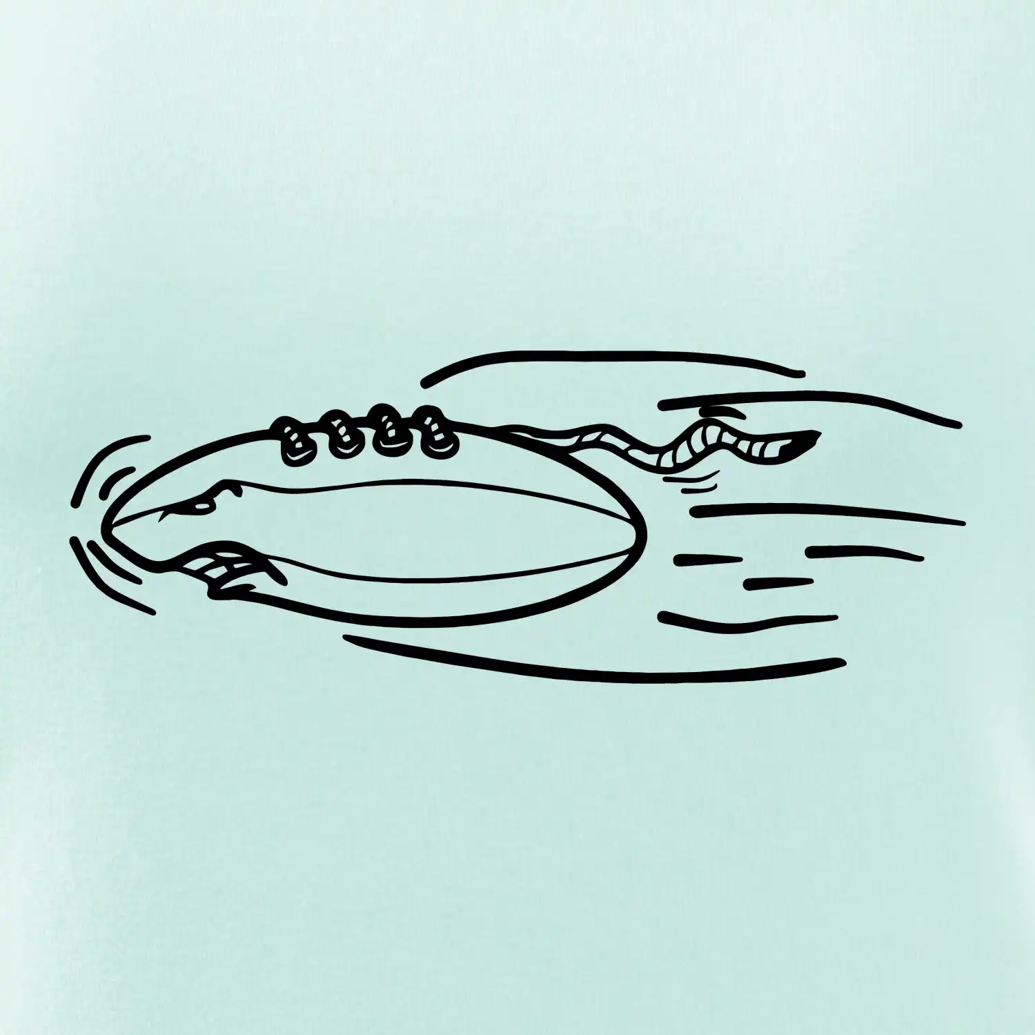 Americký fotbal letící míč