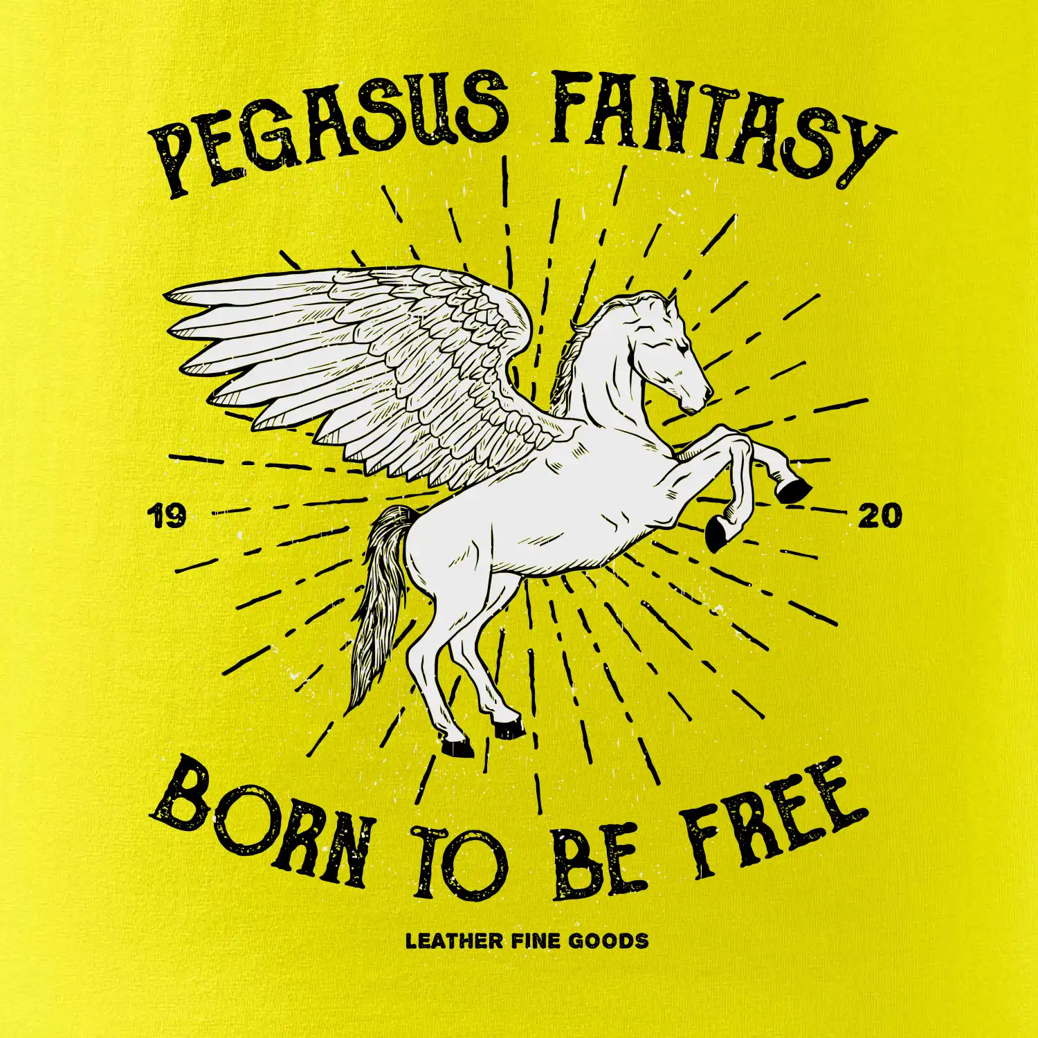 Pegasus fantasy