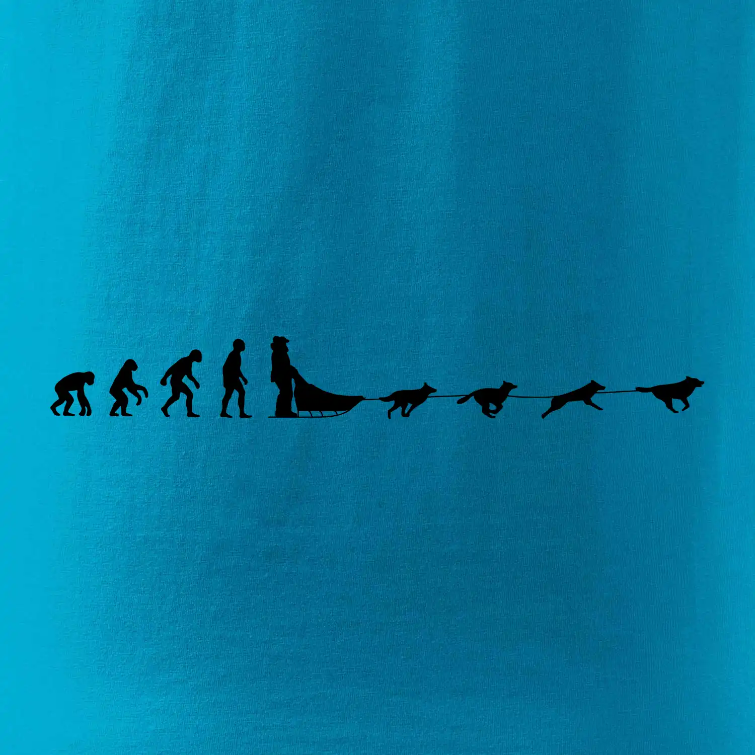 Evoluce psí spřežení