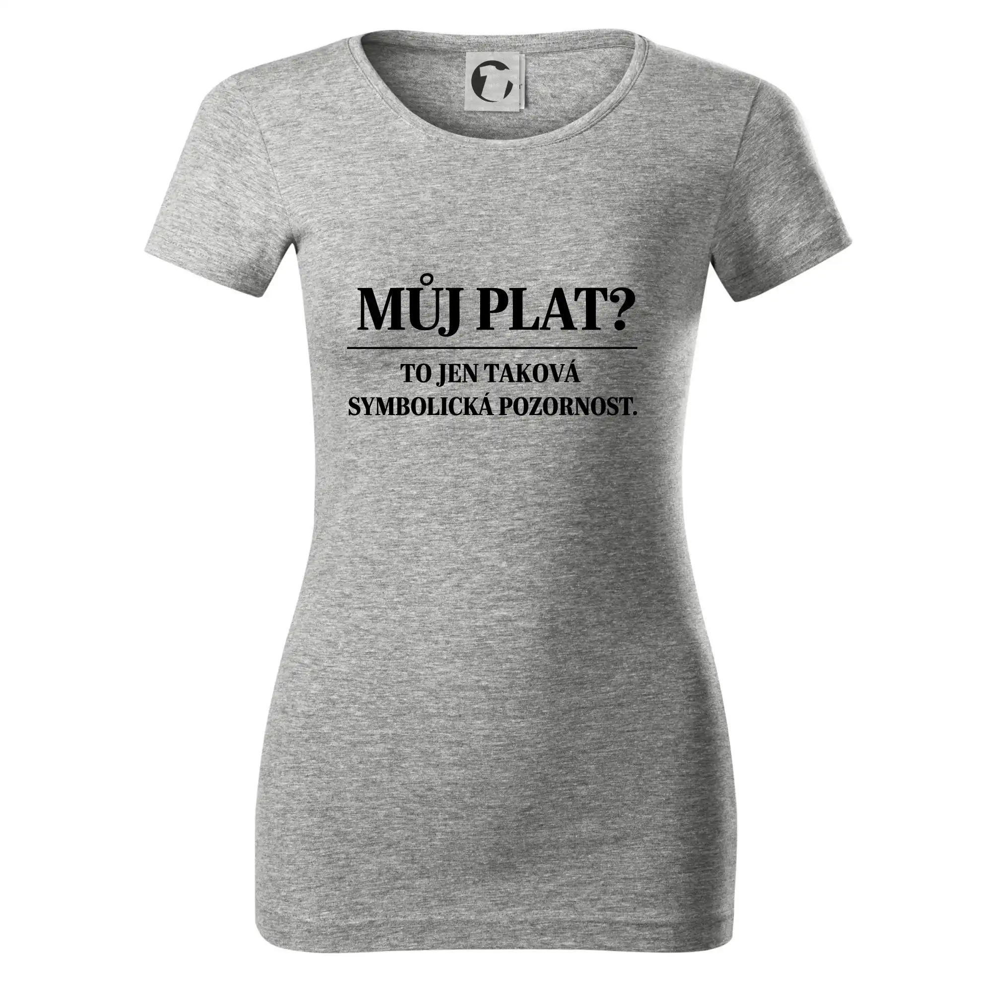 Můj plat? to jen taková symbolická pozornost