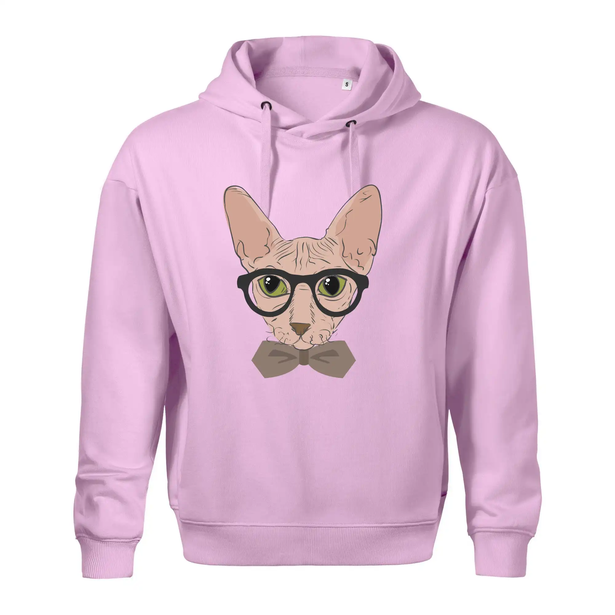 Hipster sphynx