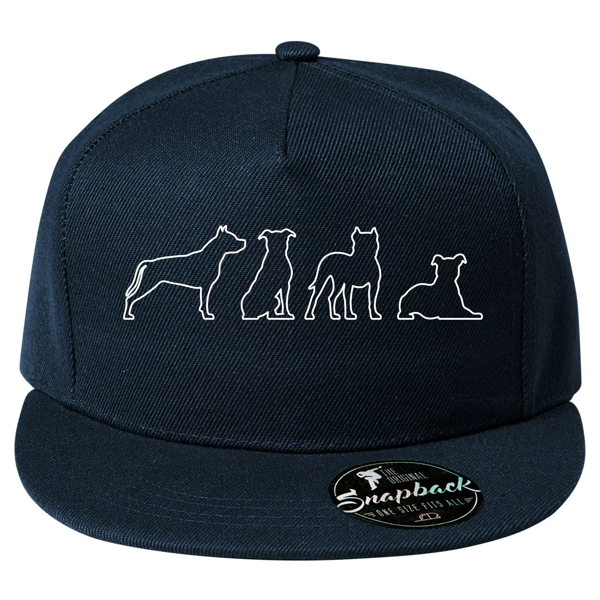 Americký stafordširský teriér v různých pozicích