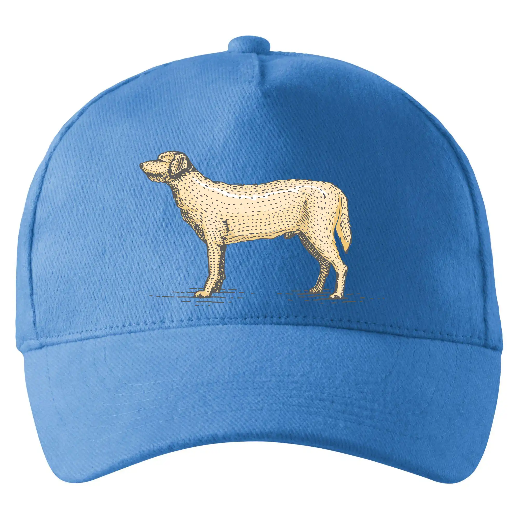 Vintage Labrador