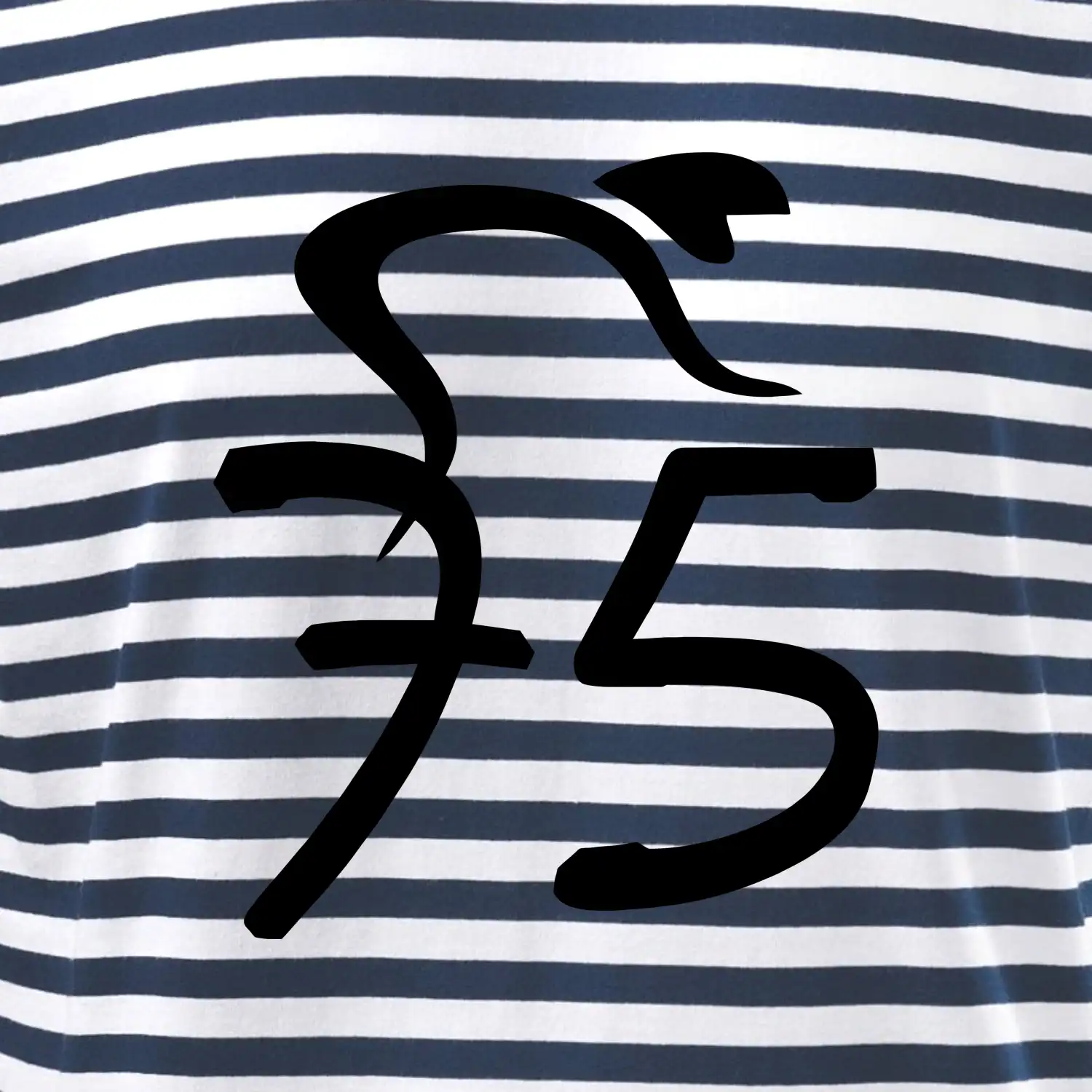 Cyklista slaví pětasedmdesátku (75)