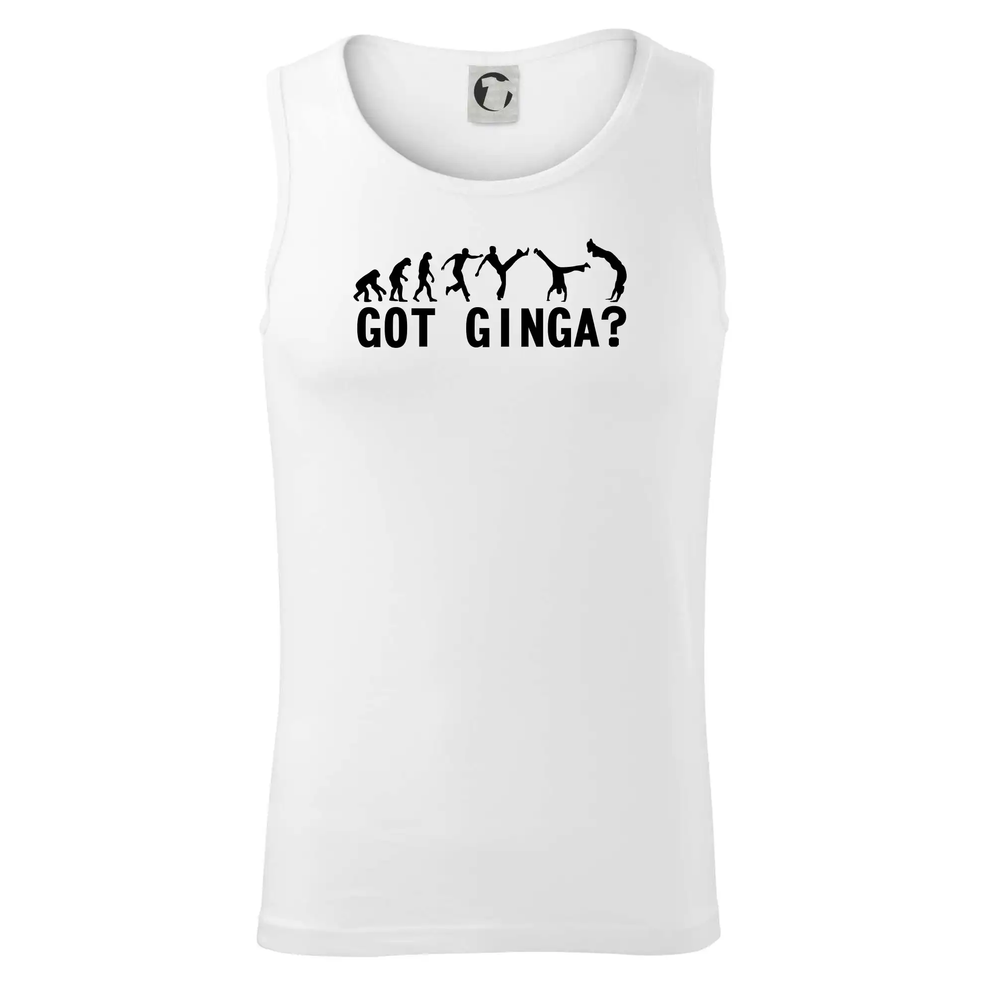 Capoeira - Got Ginga