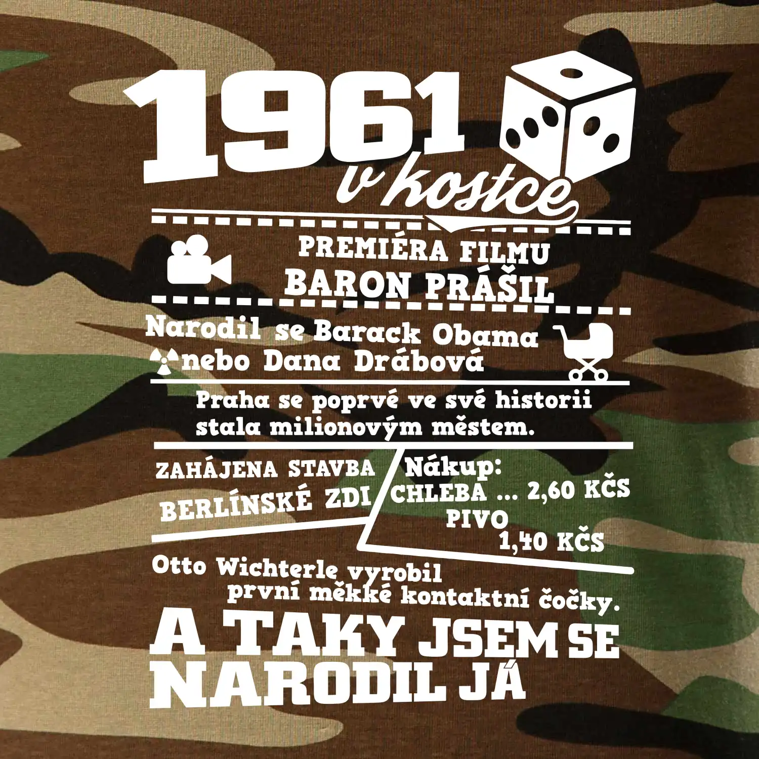 1961 v kostce