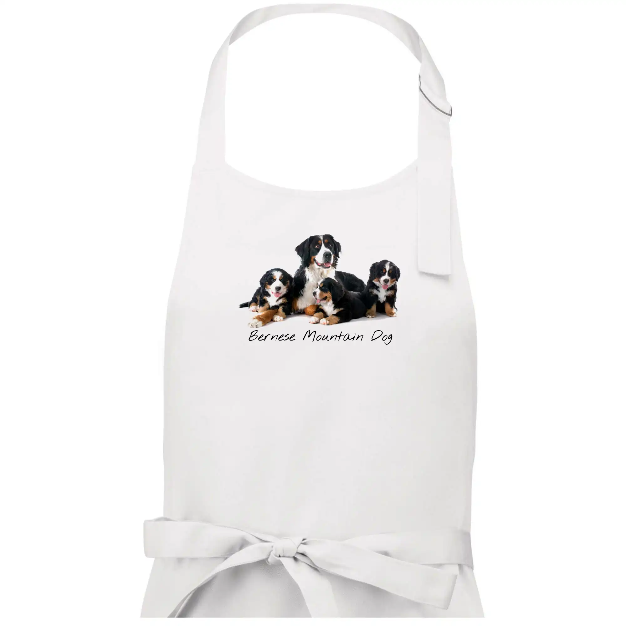 Bernese mountain dog celá rodina