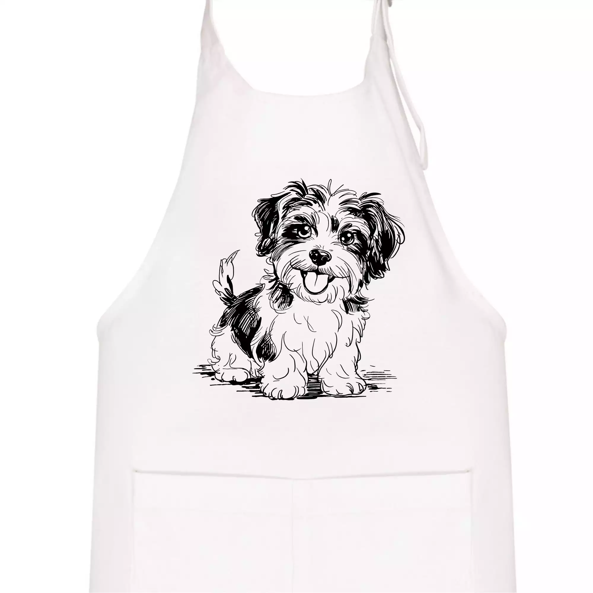 Havanský psík skica