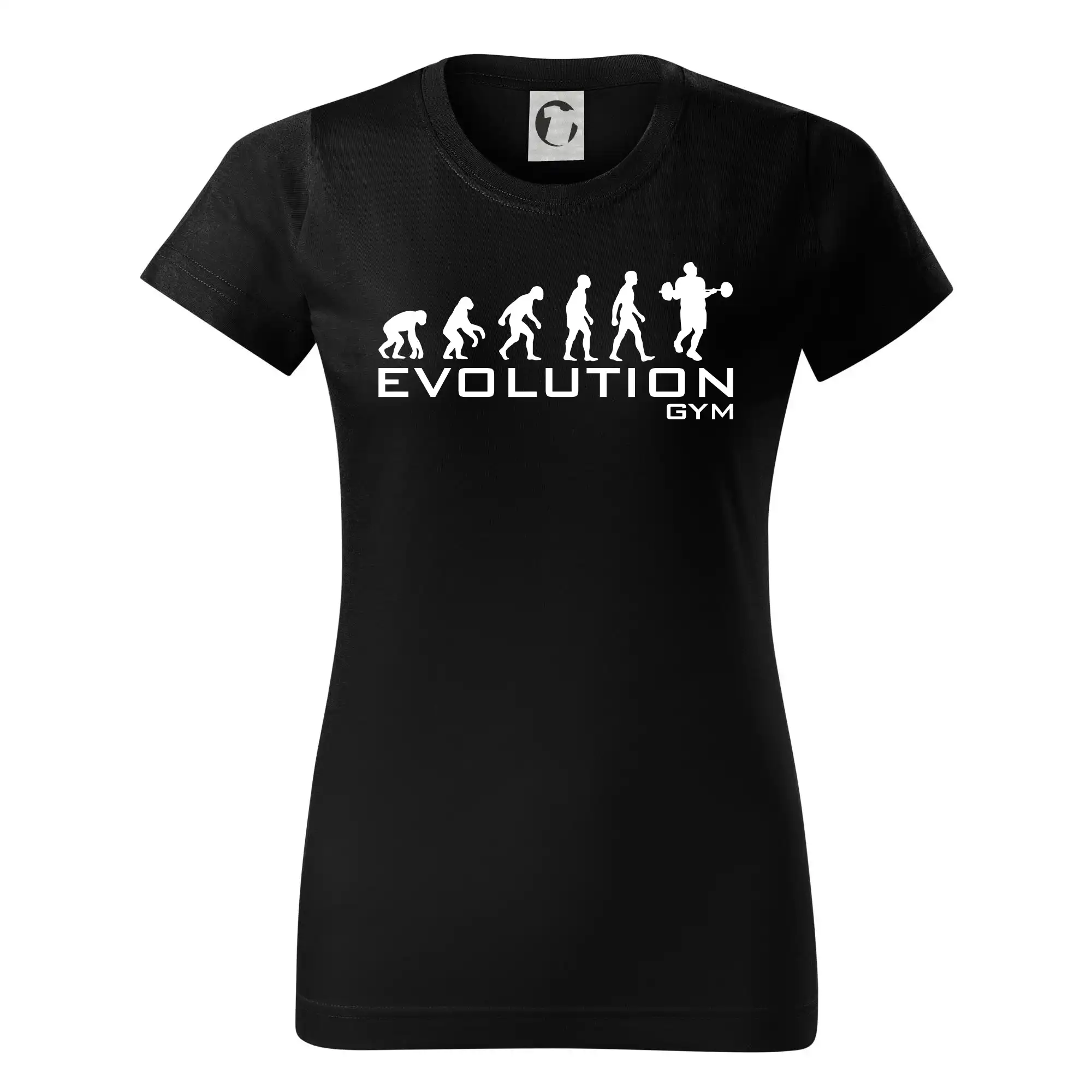 Evoluce Gym