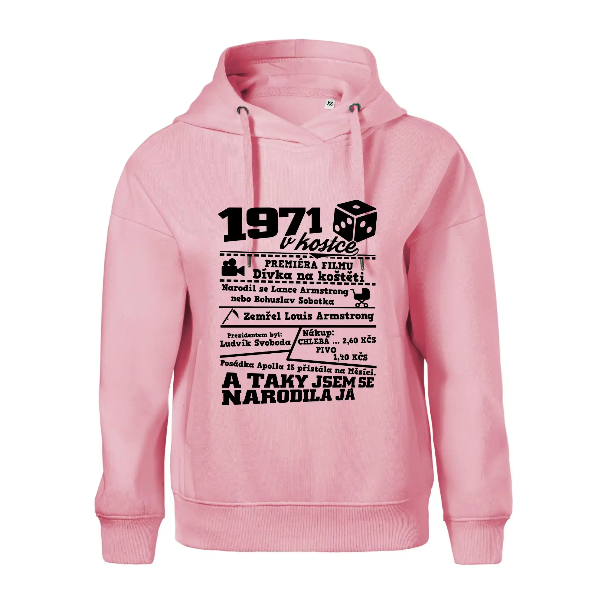 1971 v kostce