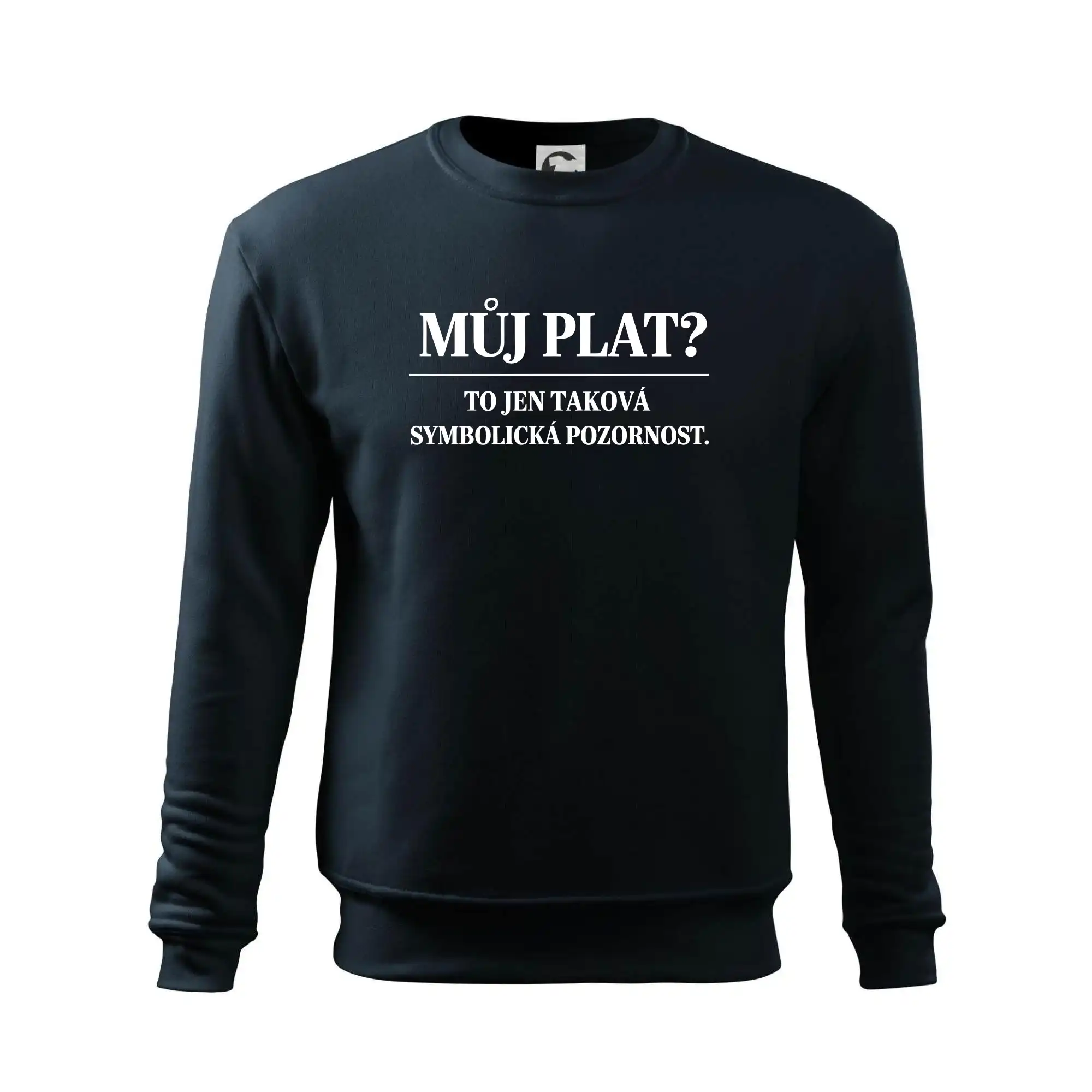 Můj plat? to jen taková symbolická pozornost