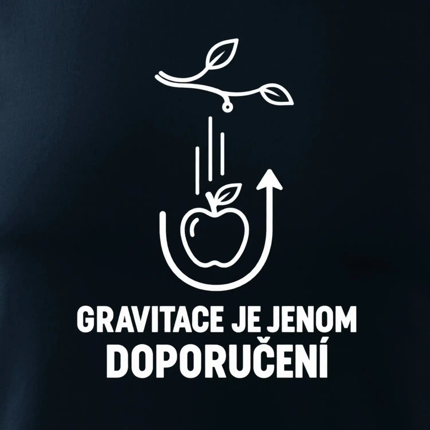 Gravitace je jenom doporučení