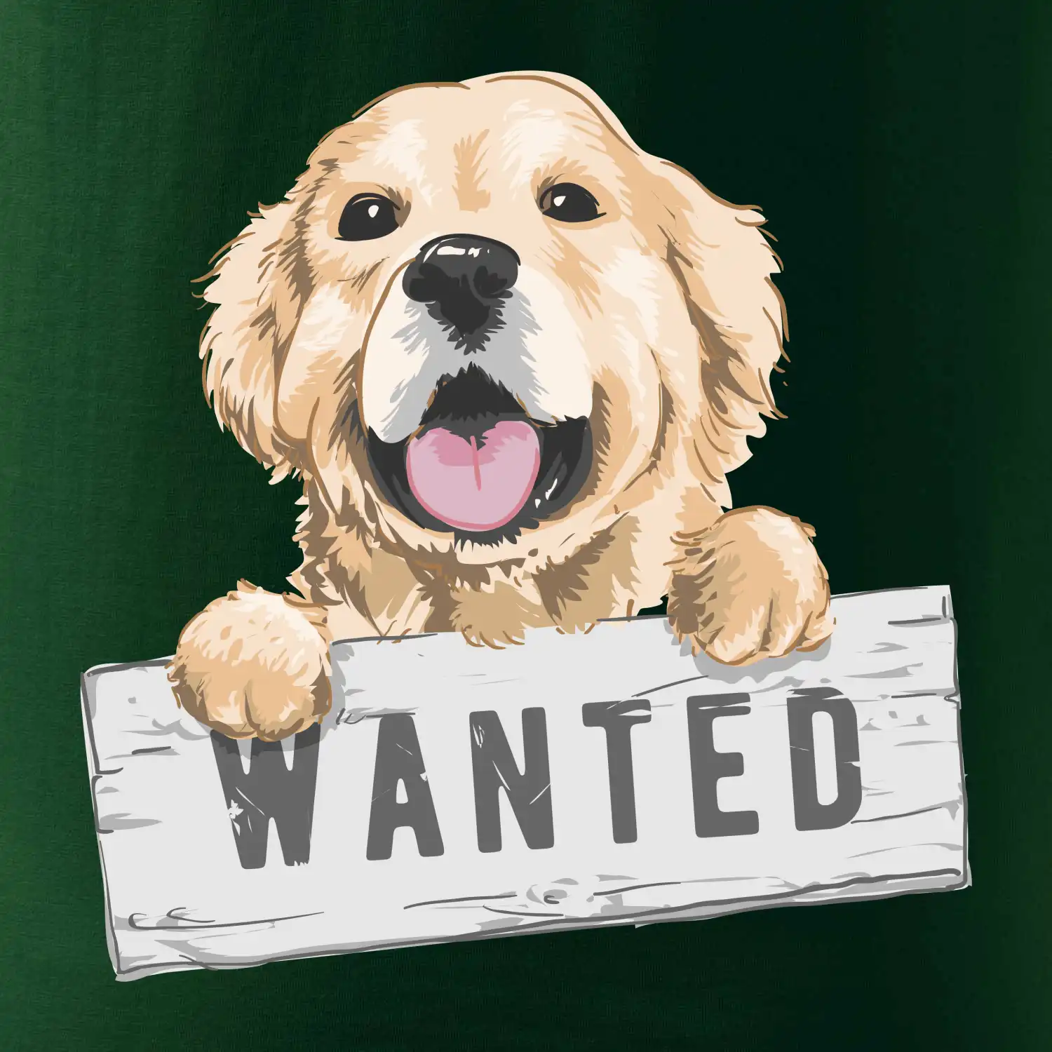 Zlatý retriever - štěně wanted