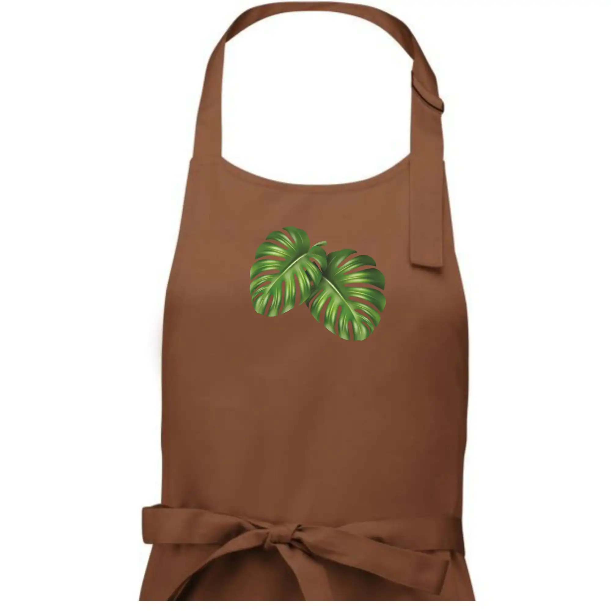 Monstera - dva listy