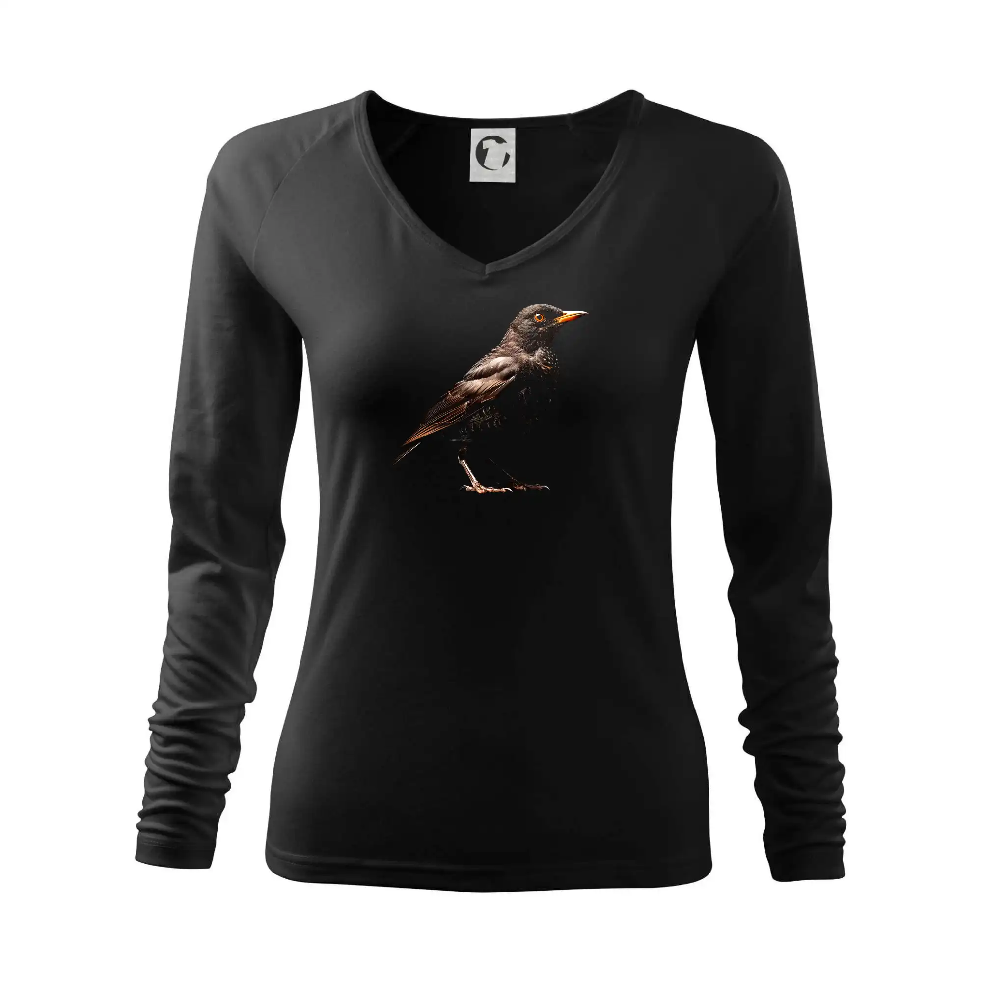 Kos černý černá fotka