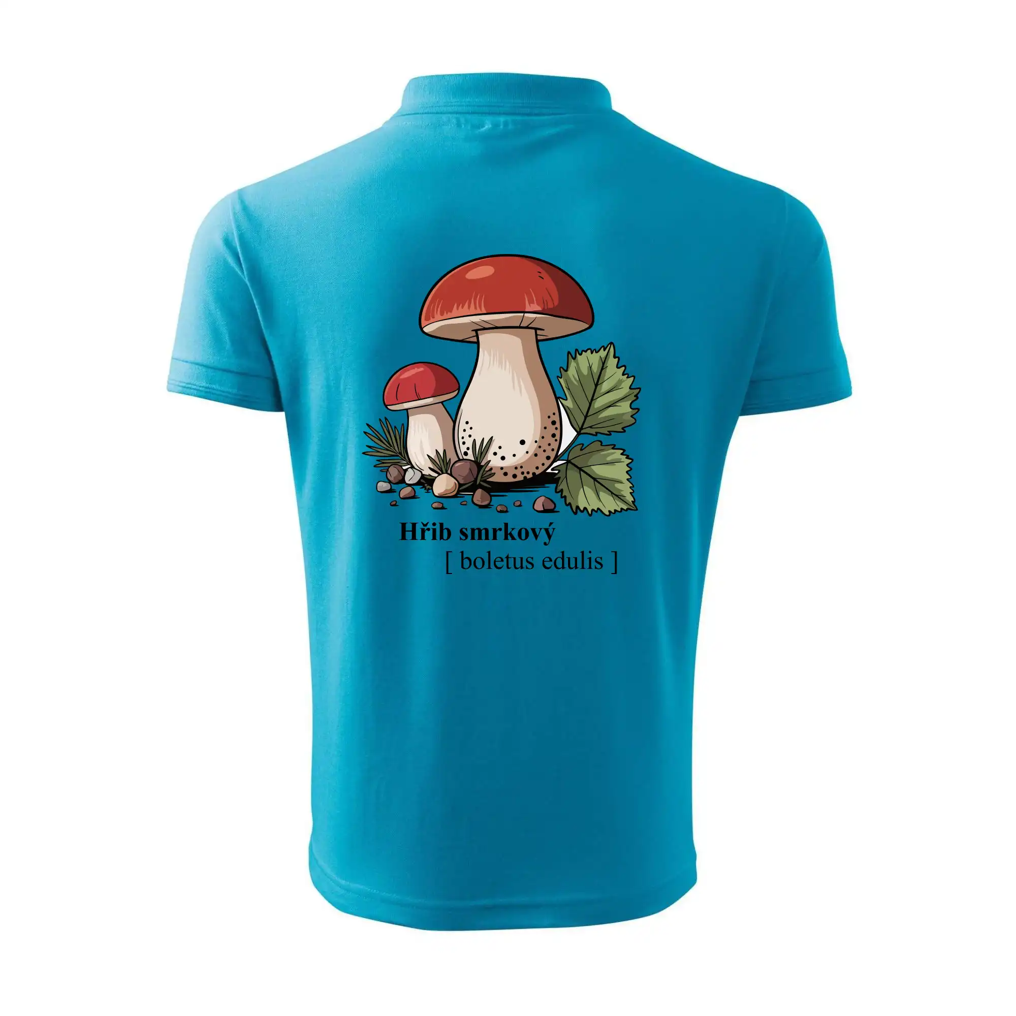 Hřib smrkový - Boletus edulis kreslený