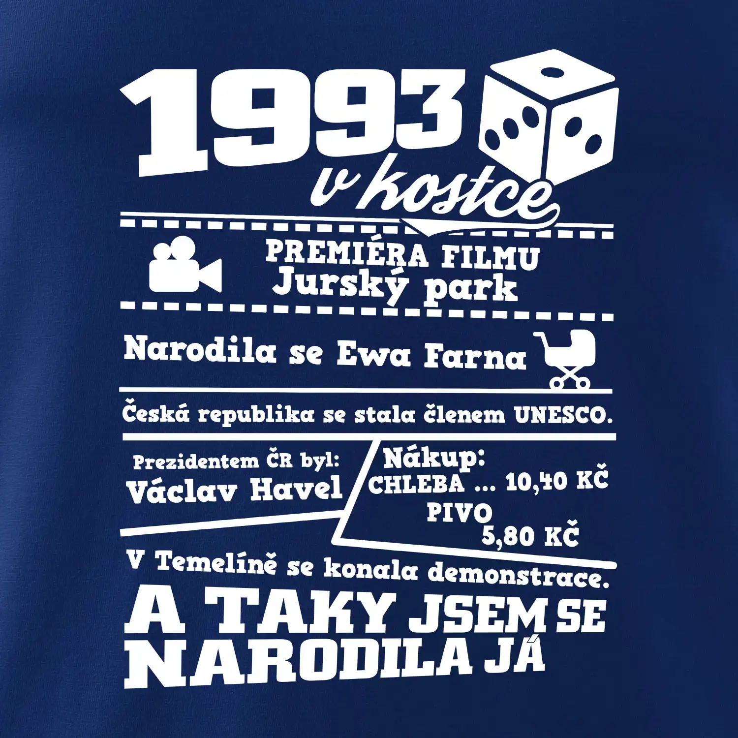 1993 v kostce