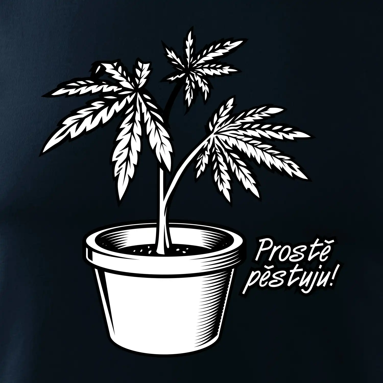 Konopi prostě pěstuju