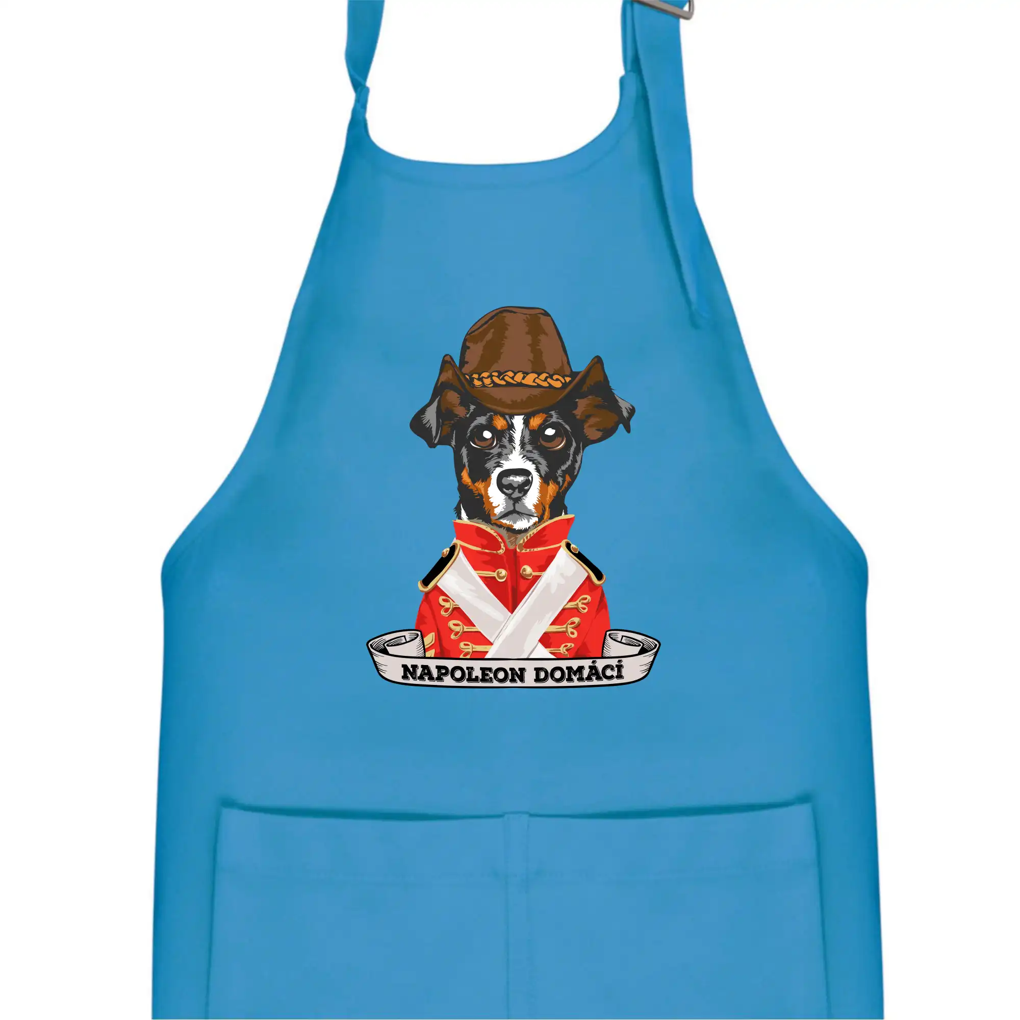 Napoleon domácí pes kříženec