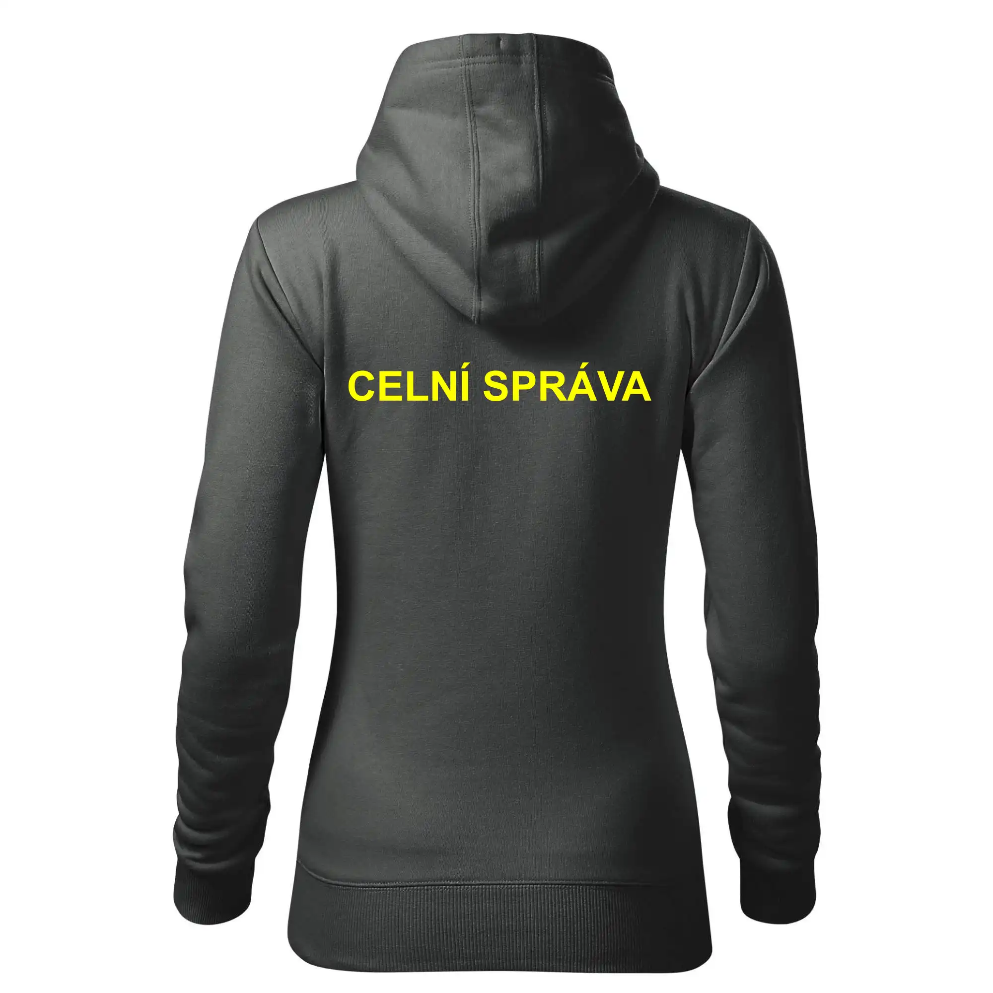 Celní správa