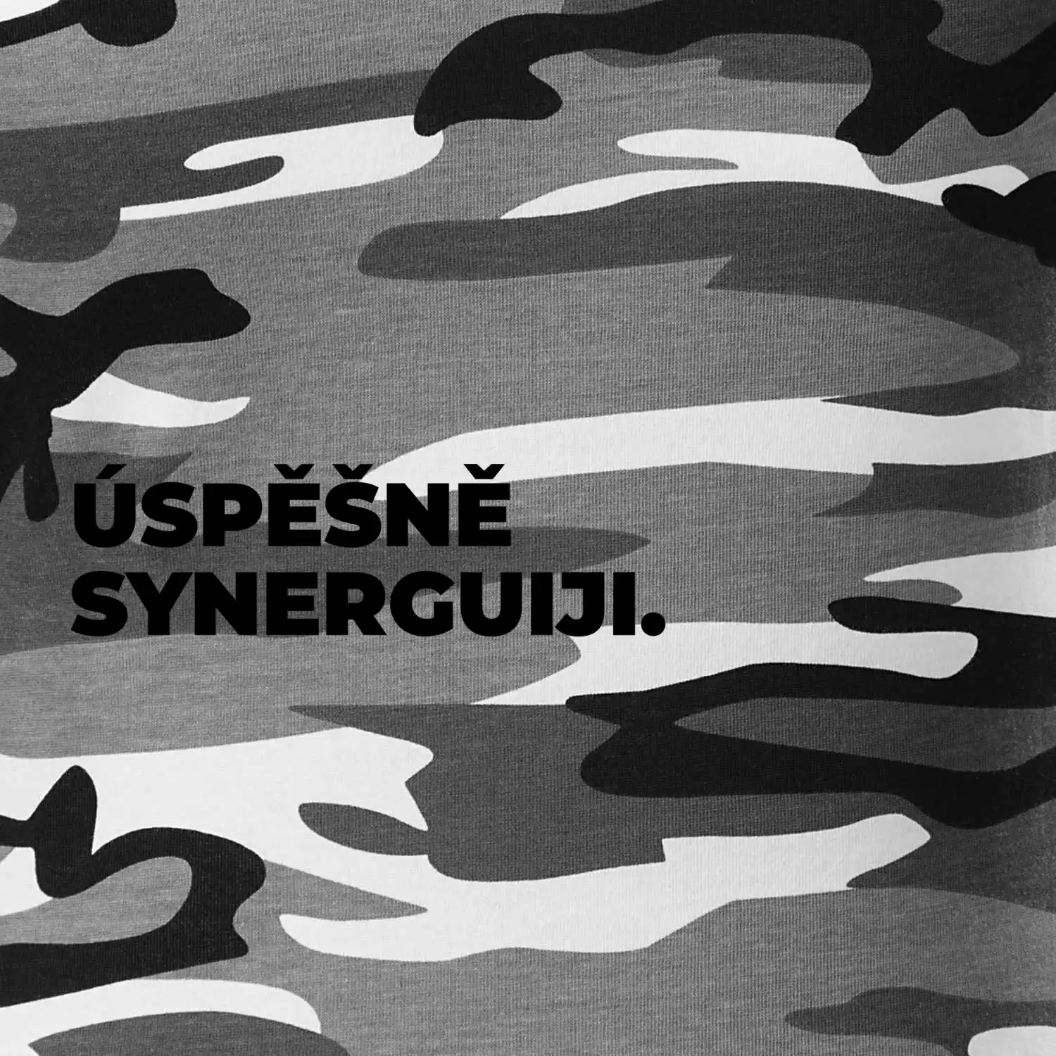 ÚSPĚŠNĚ SYNERGUIJI.