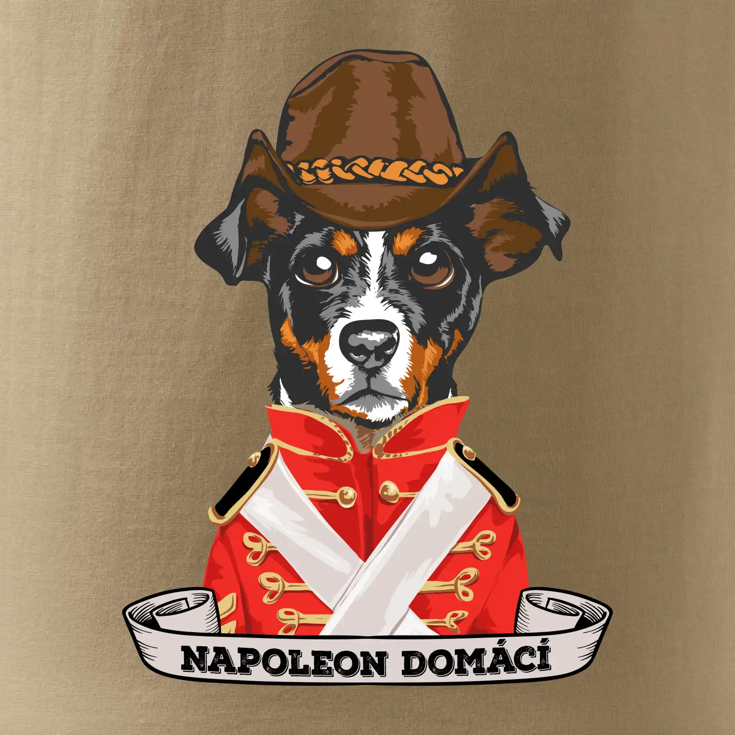 Napoleon domácí pes kříženec