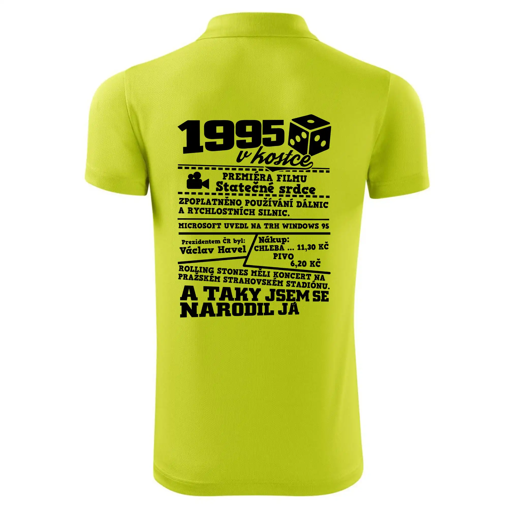 1995 v kostce