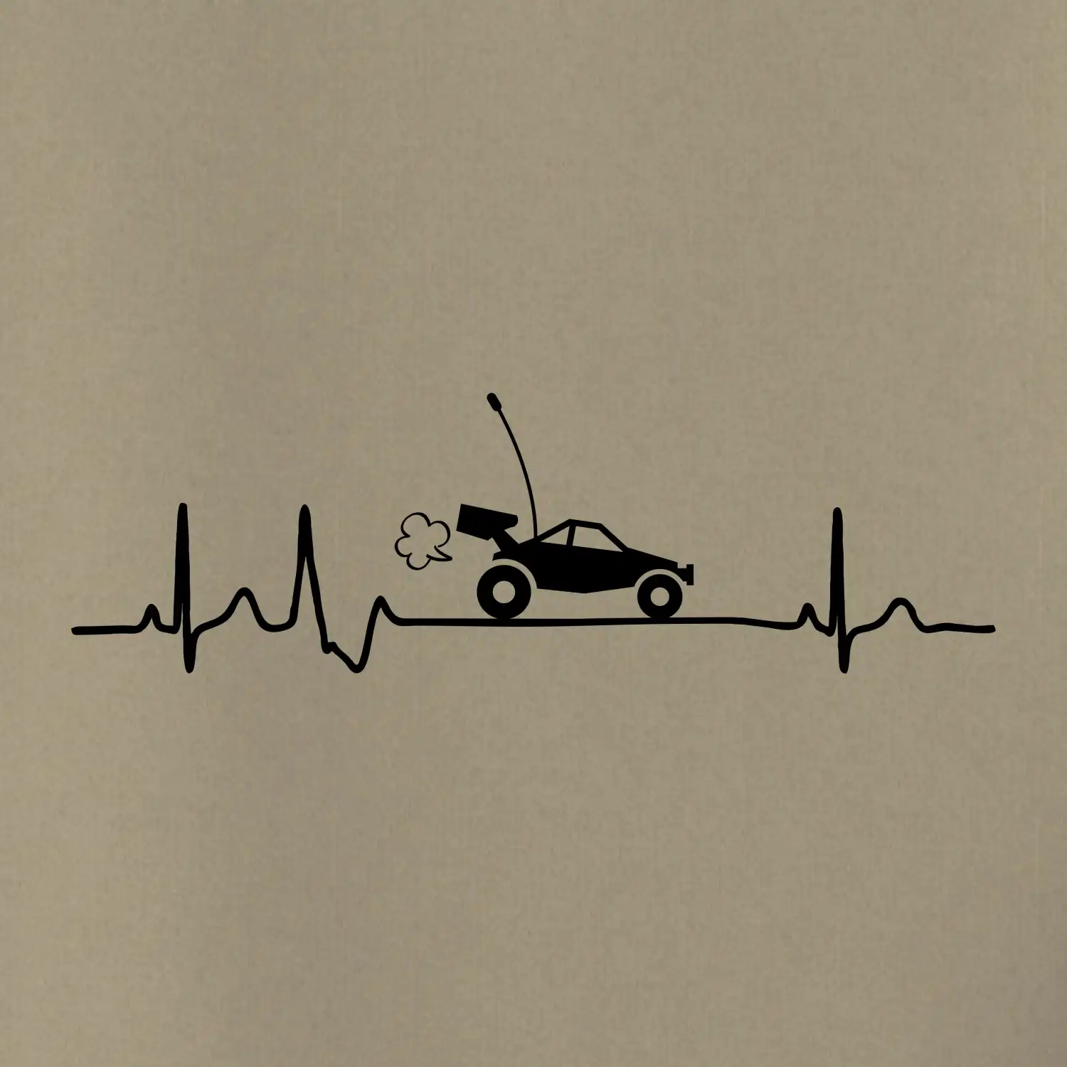 EKG RC model