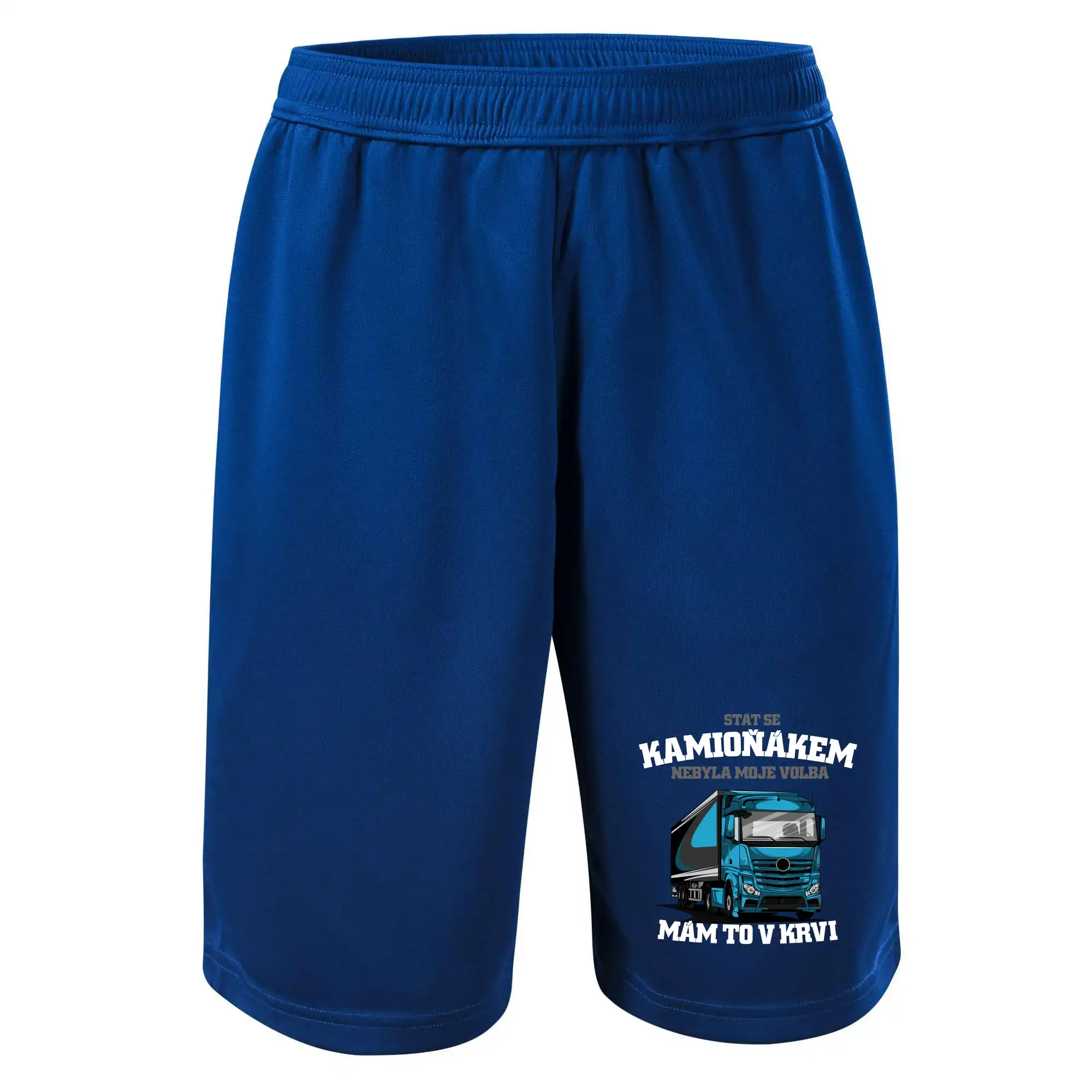 Stát se kamioňákem nebyla moje volba