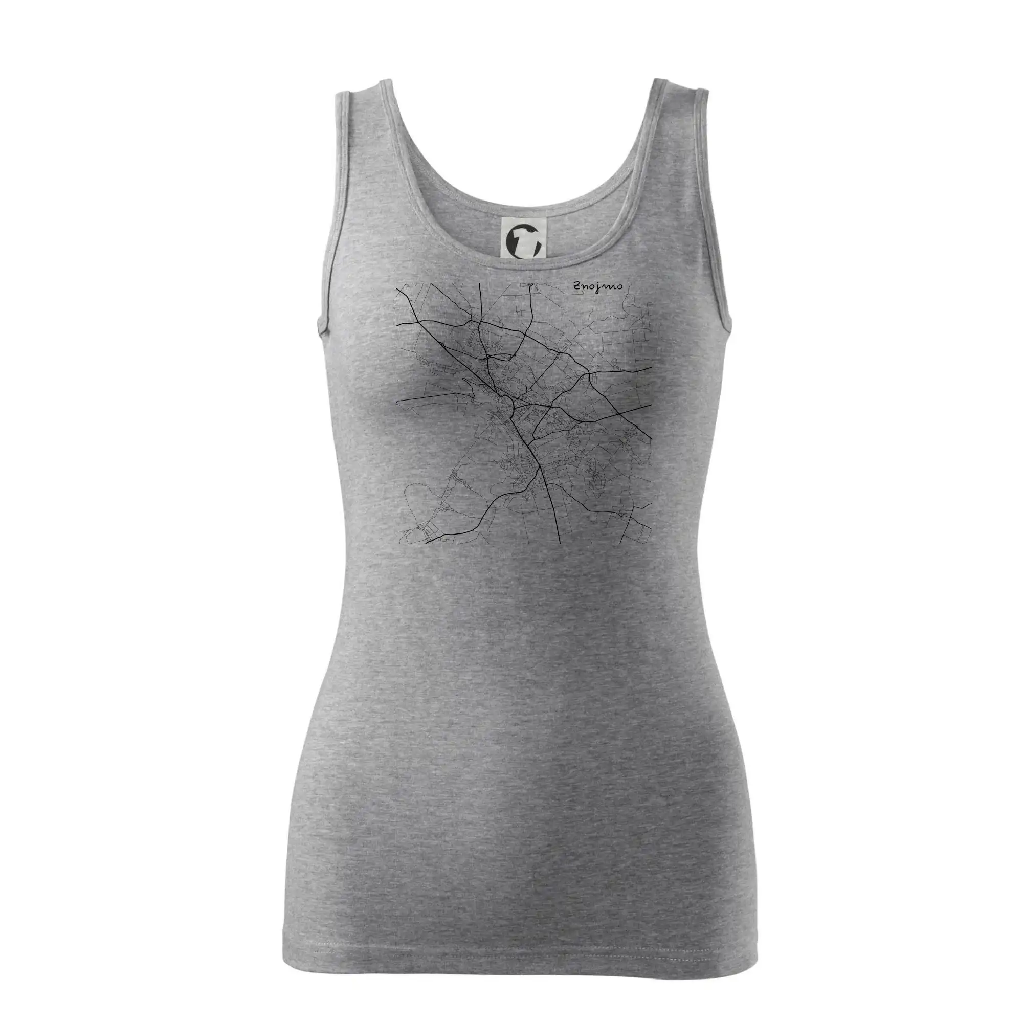 Černobílá mapa Znojmo