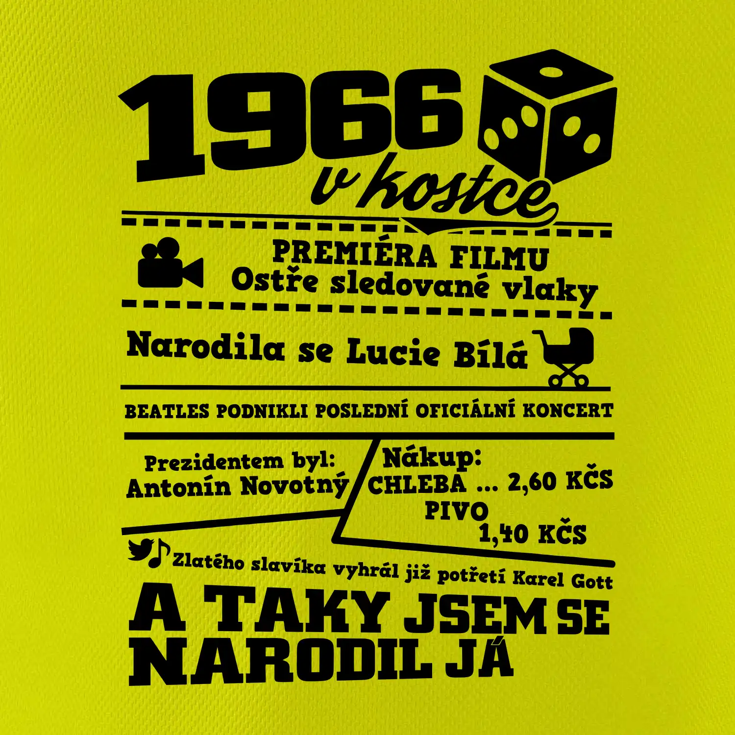 1966 v kostce