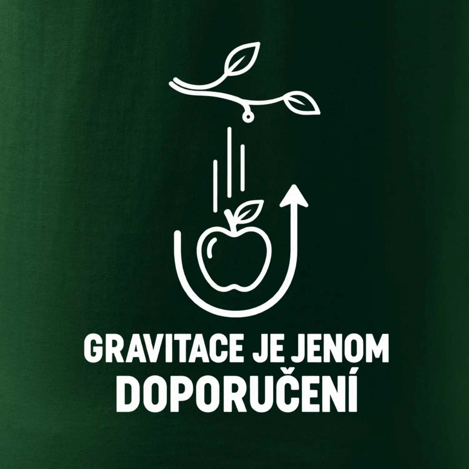 Gravitace je jenom doporučení